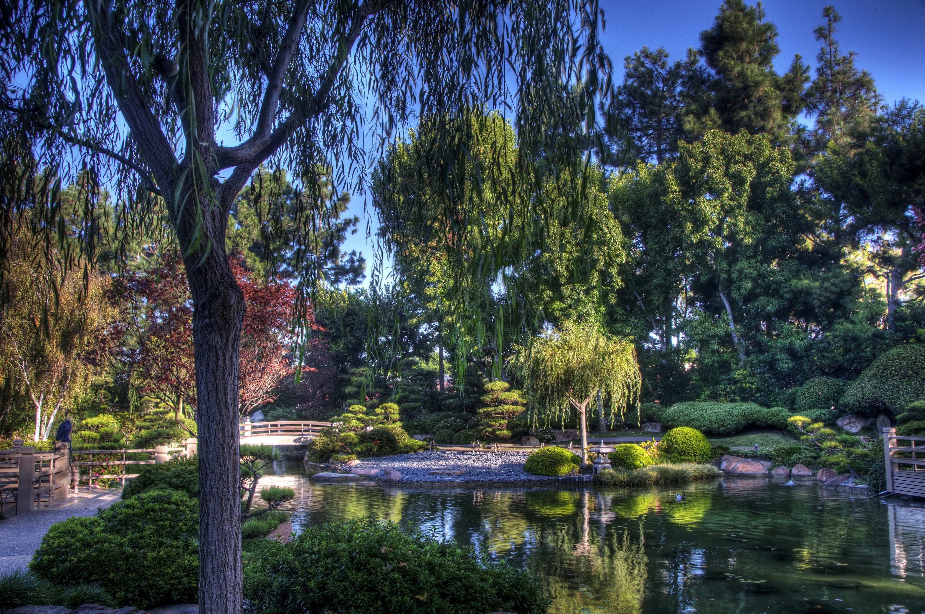 Earl Burns Miller Japanese Garden, California USA HD Wallpaper