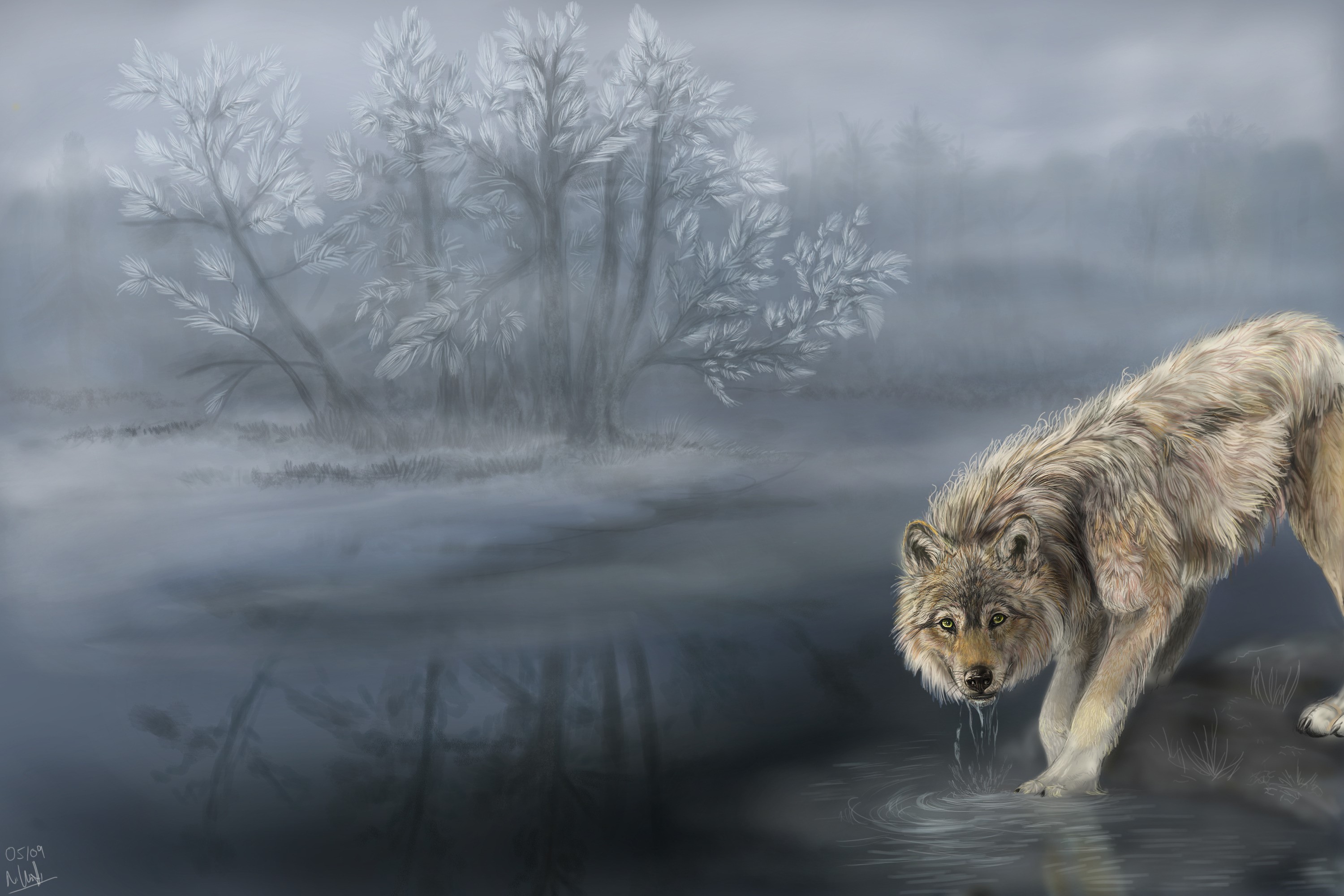 Wolves HD Wallpaper