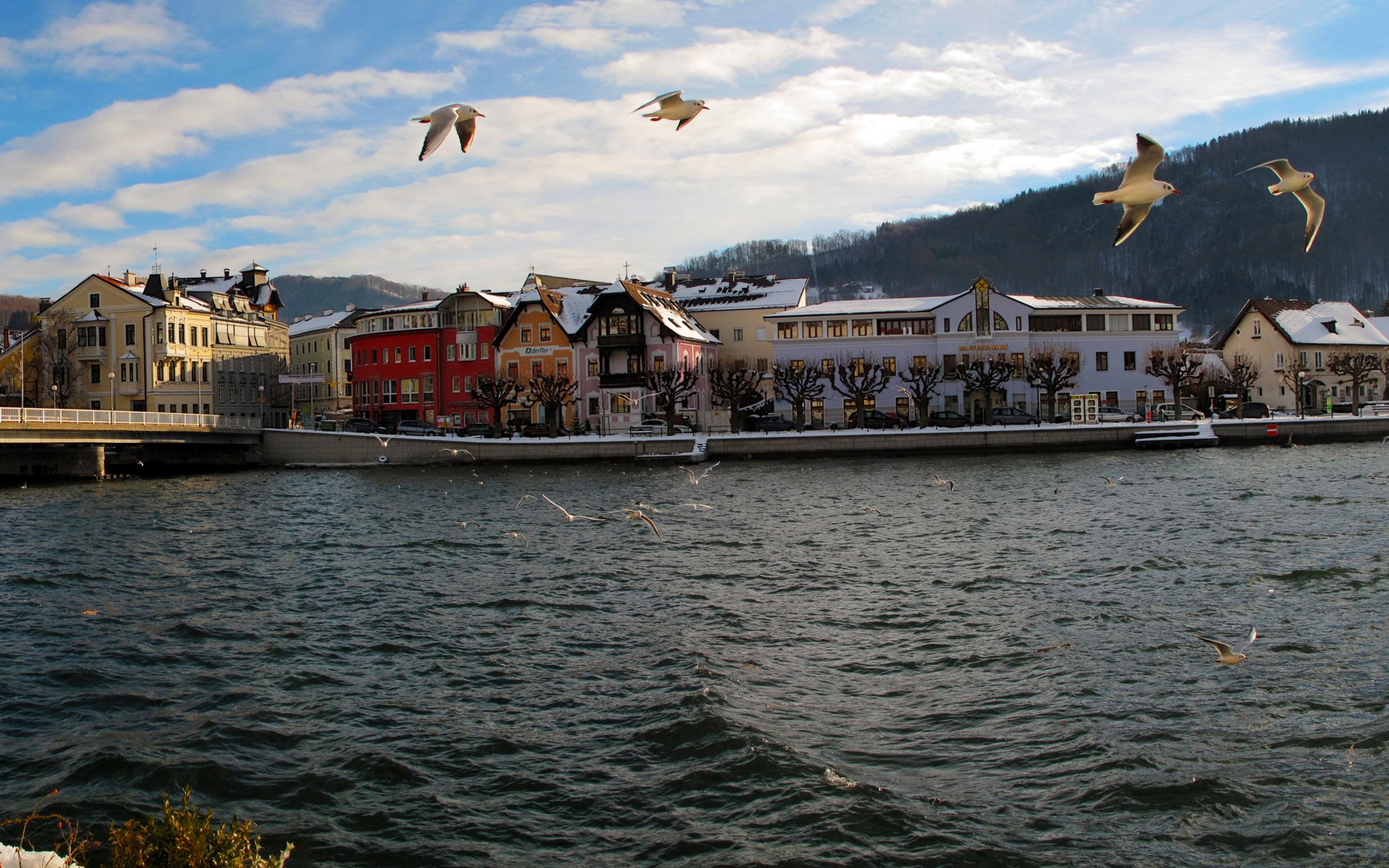 Seagulls flying over a river in front of a town in Austria HD Wallpaper