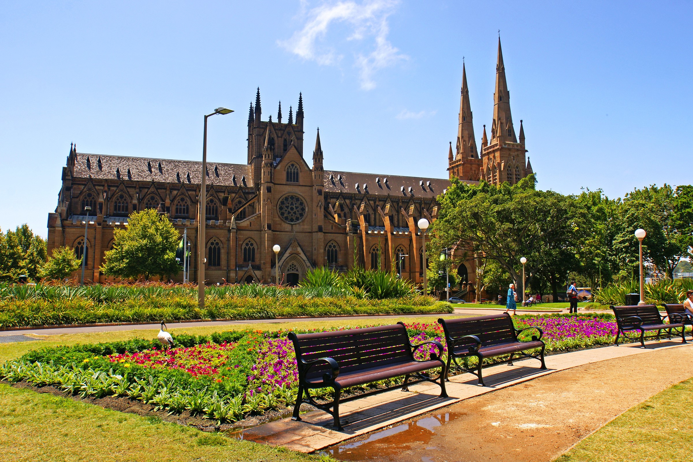 St. Mary's Cathedral and park with flower beds HD Wallpaper