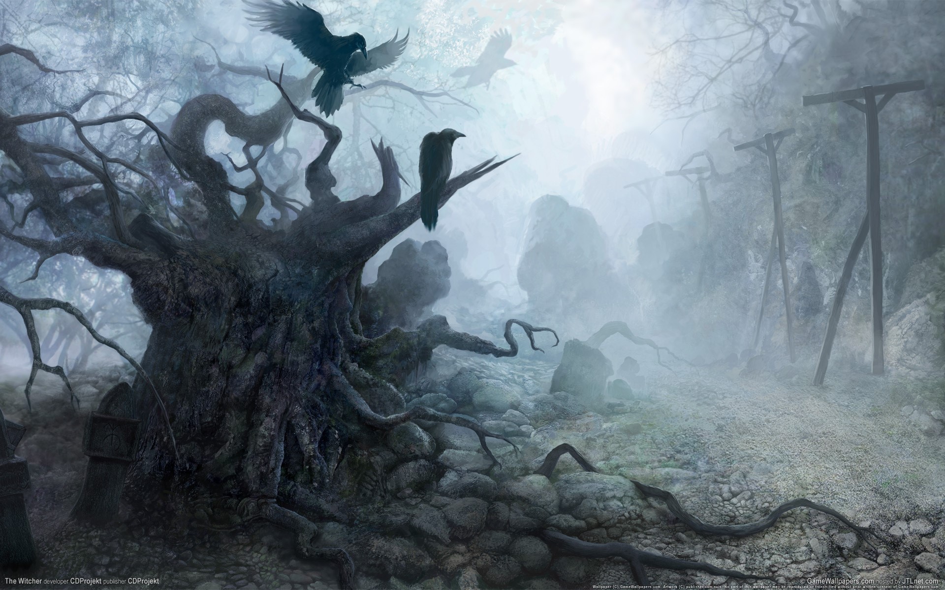 The Witcher: A dark, foggy forest with crows HD Wallpaper