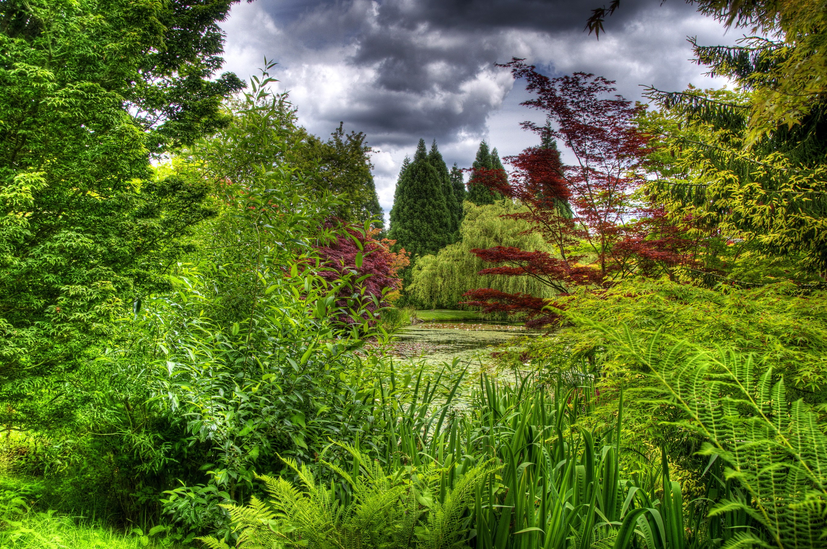 A tranquil garden with a pond and lush greenery HD Wallpaper