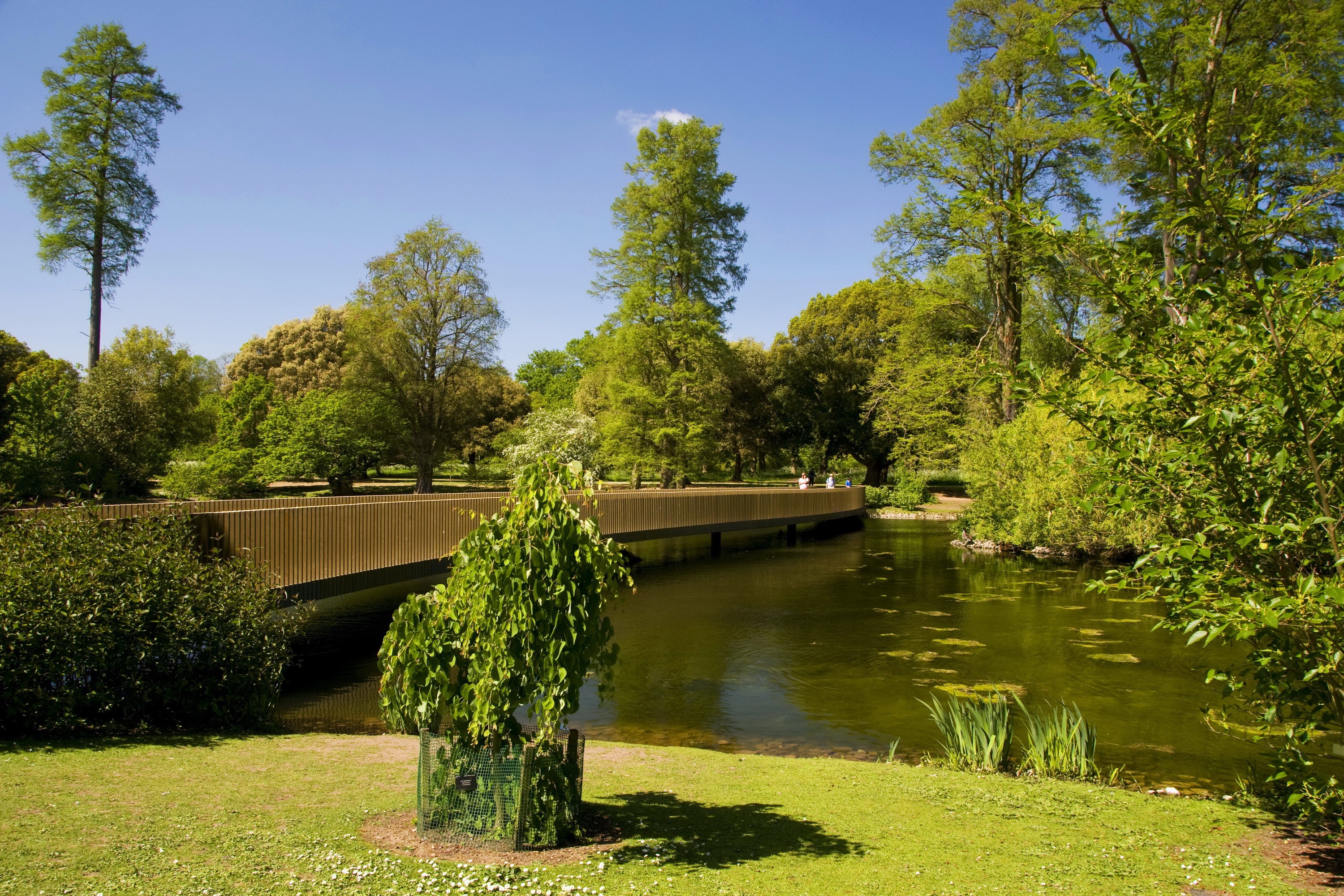 Wooden bridge over a pond in a garden HD Wallpaper