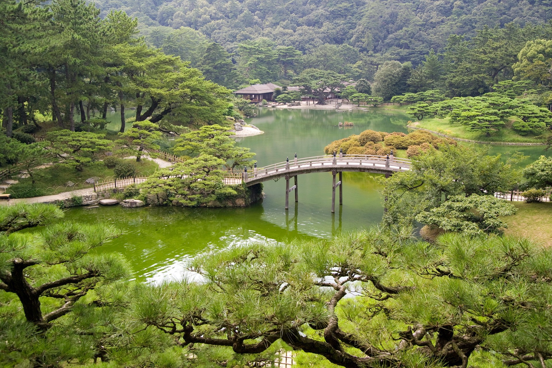 Japanese garden with a pond and a bridge HD Wallpaper