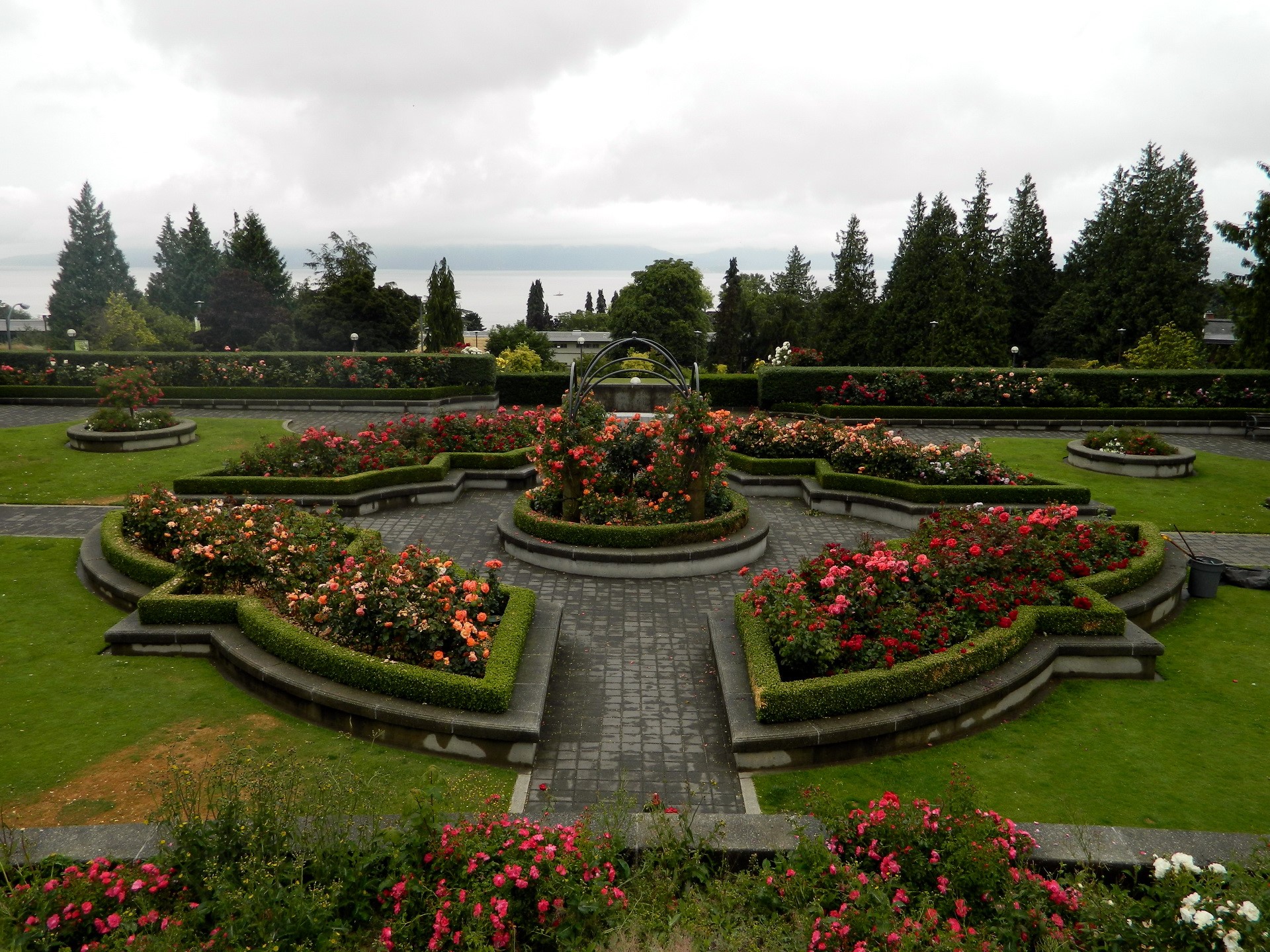 Rose Garden with Water View HD Wallpaper