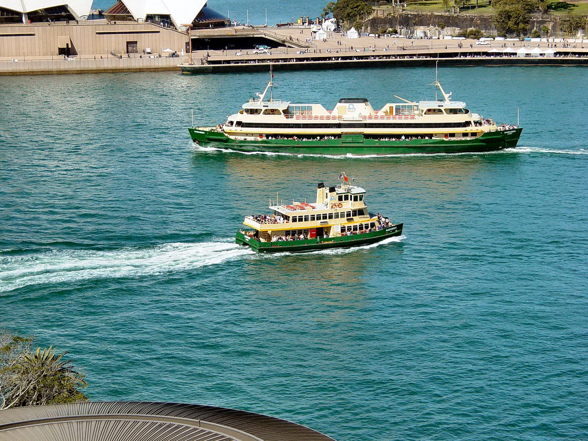 Sydney Ferries sailing in the harbor HD Wallpaper