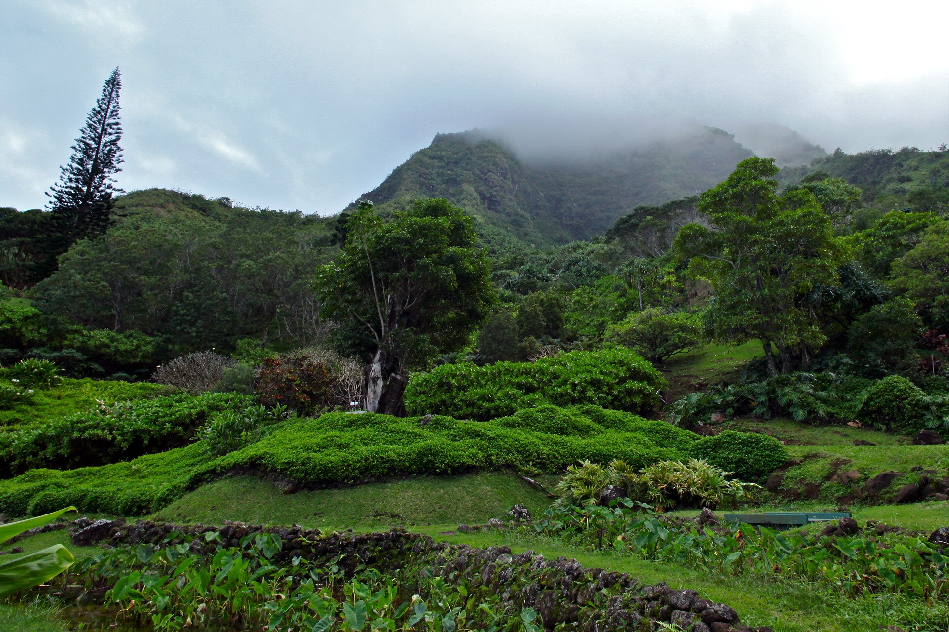 Limahuli Garden and Preserve, Kauai, Hawaii HD Wallpaper