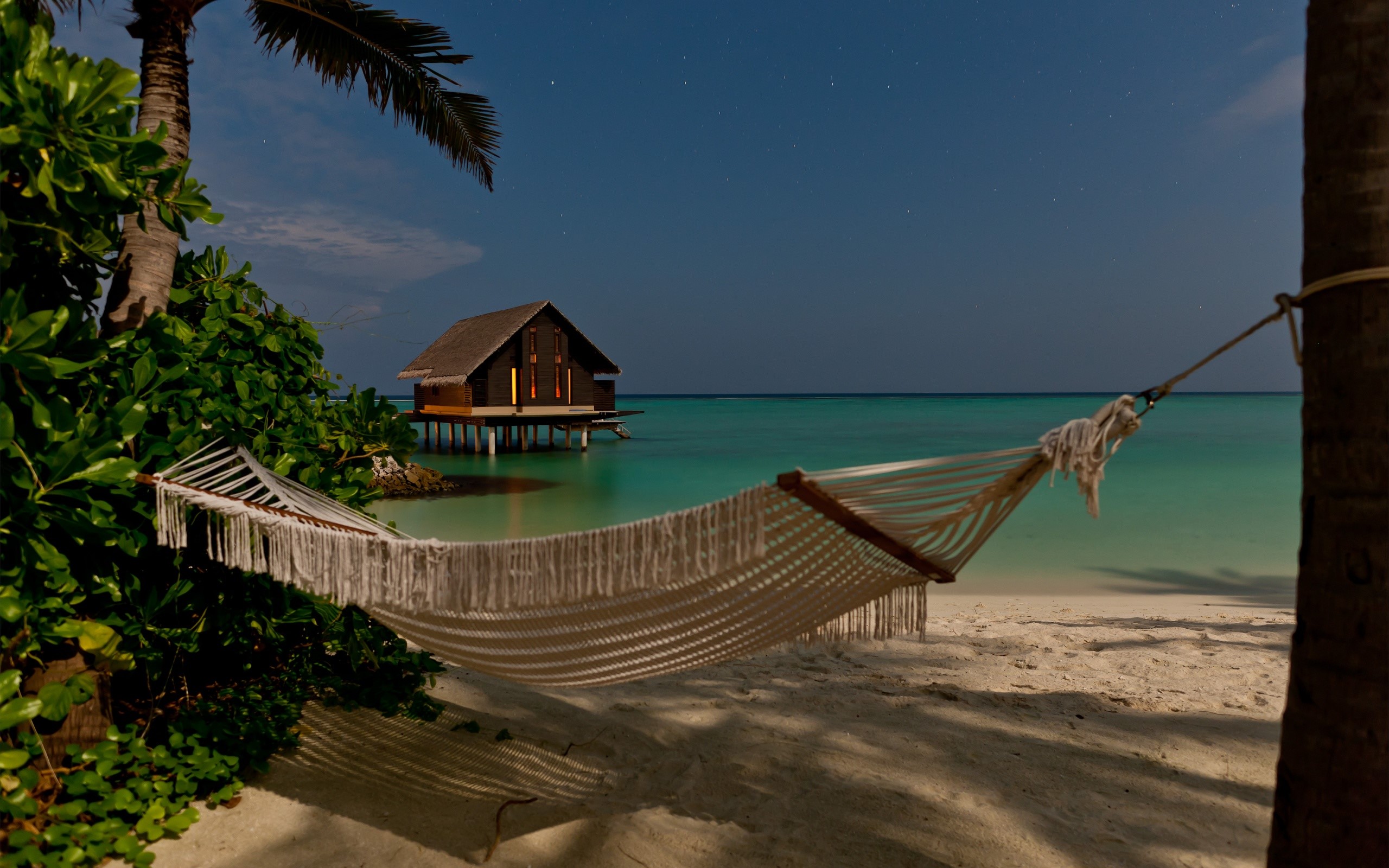 Hammock on a tropical beach at night HD Wallpaper