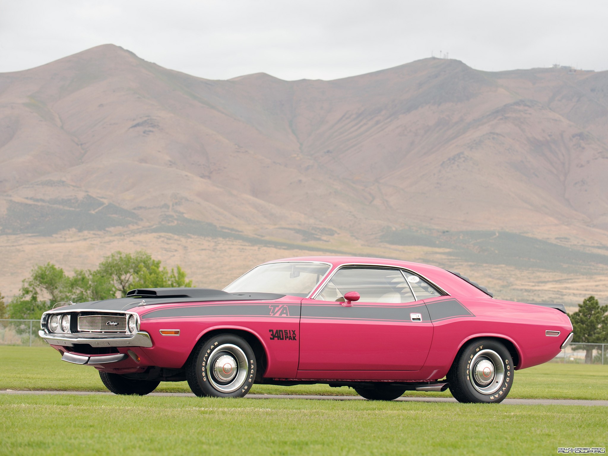 1970 Dodge Challenger T/A Pink HD Wallpaper