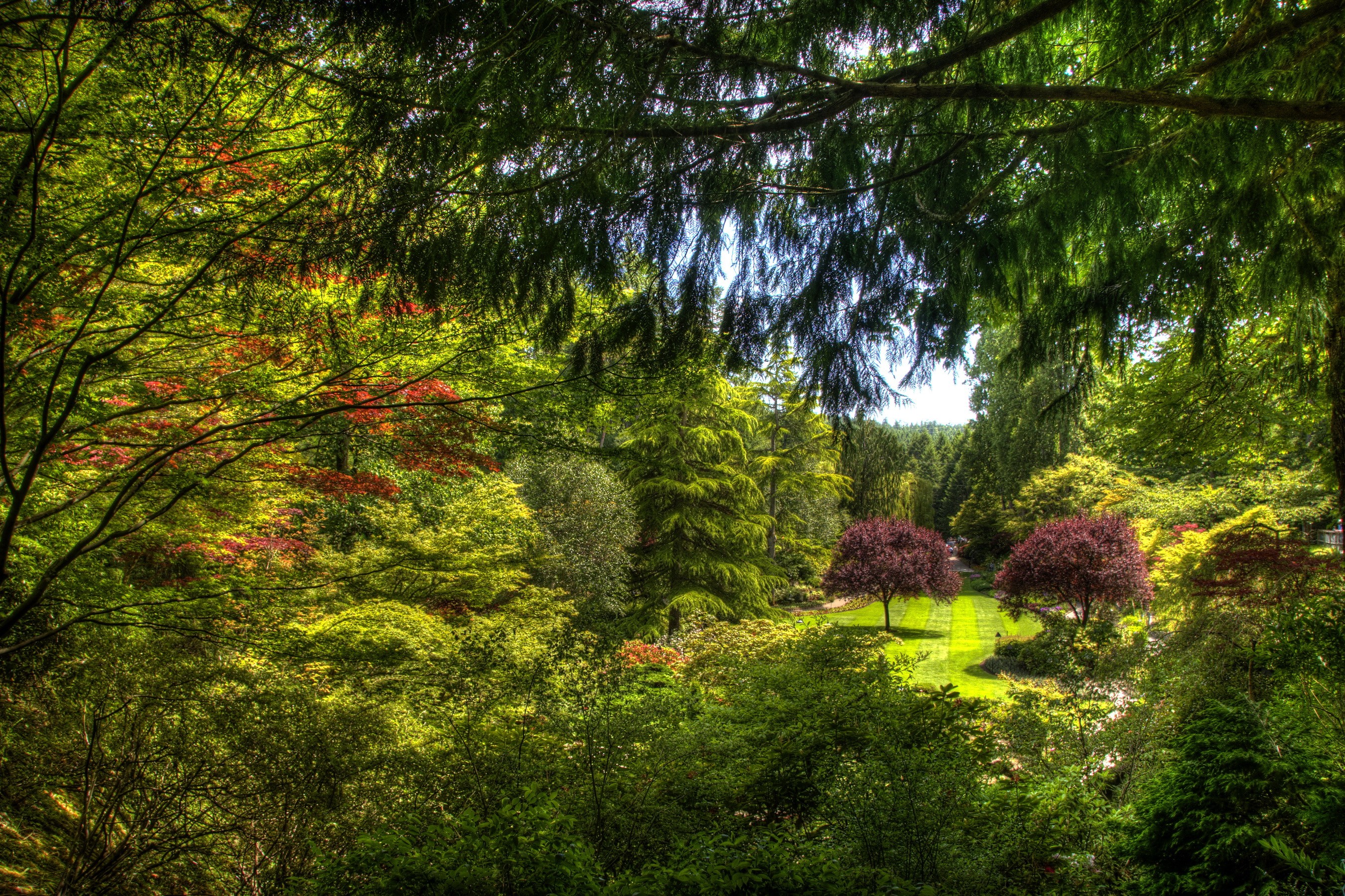Beautiful garden with trees and manicured lawn HD Wallpaper