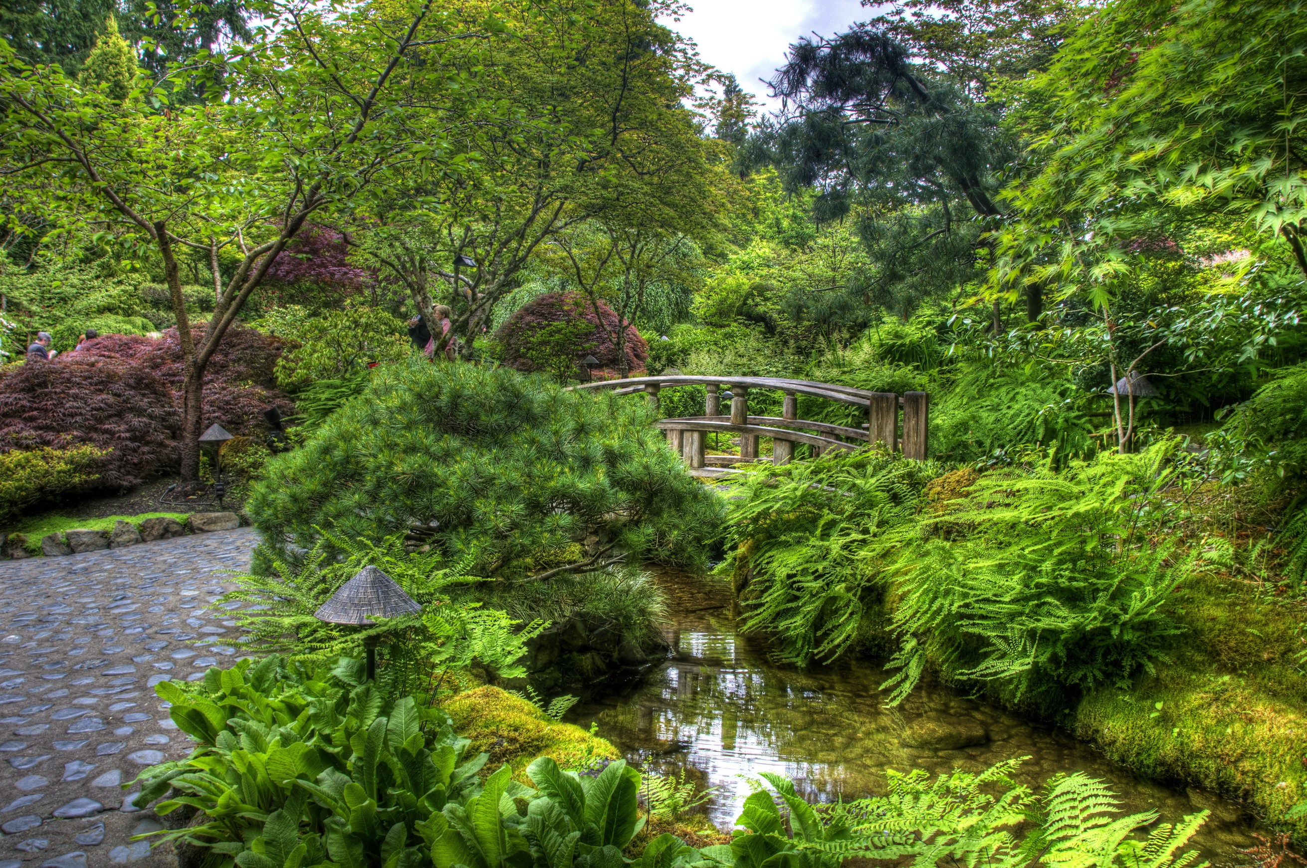 Japanese Garden with Wooden Bridge and Stream HD Wallpaper