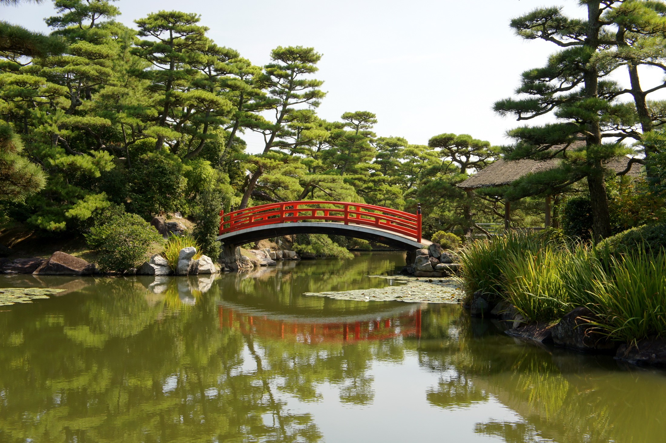 Japanese garden with red bridge over pond HD Wallpaper