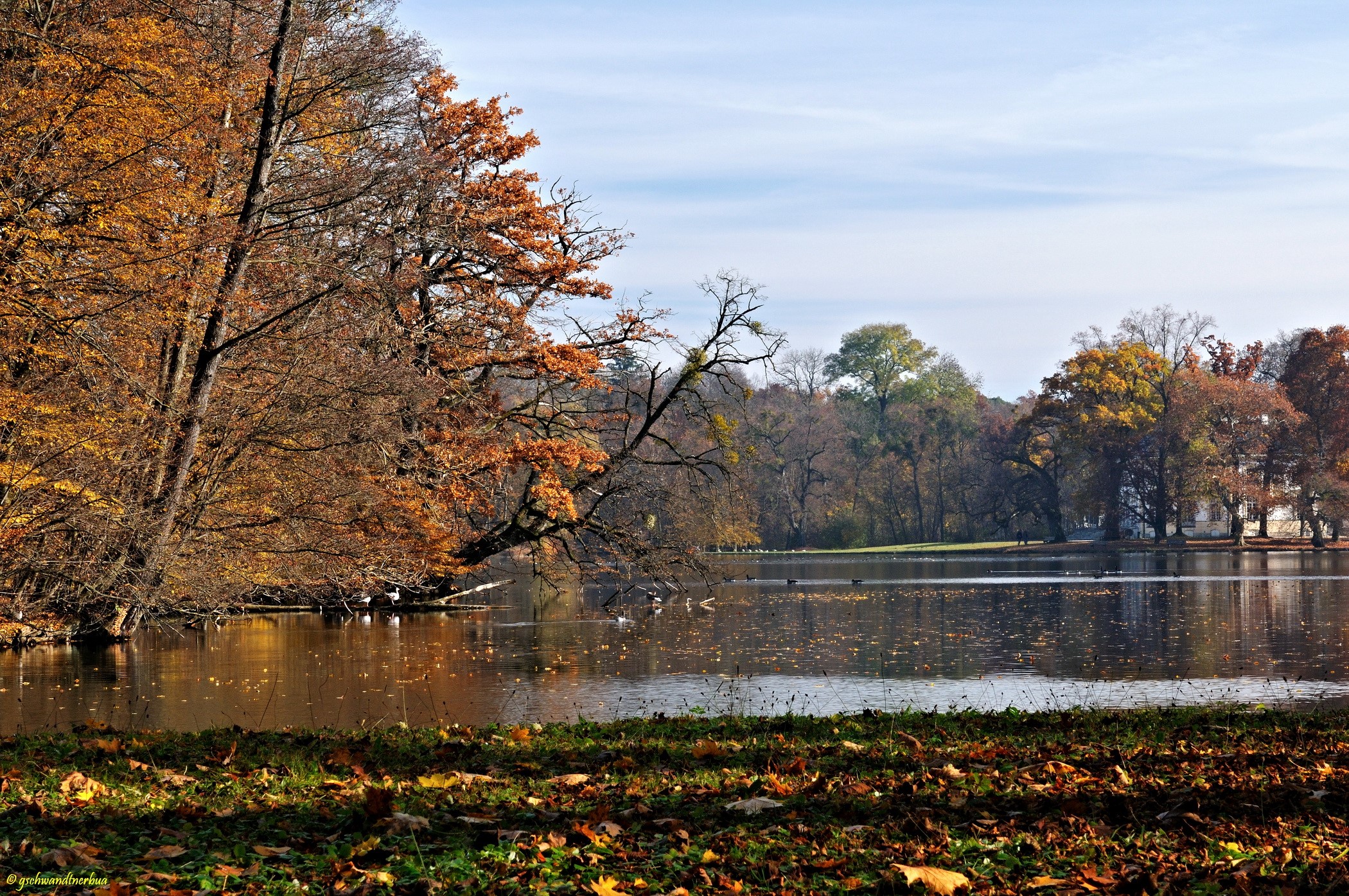 Nymphenburg Park in Munich, Germany with a lake HD Wallpaper