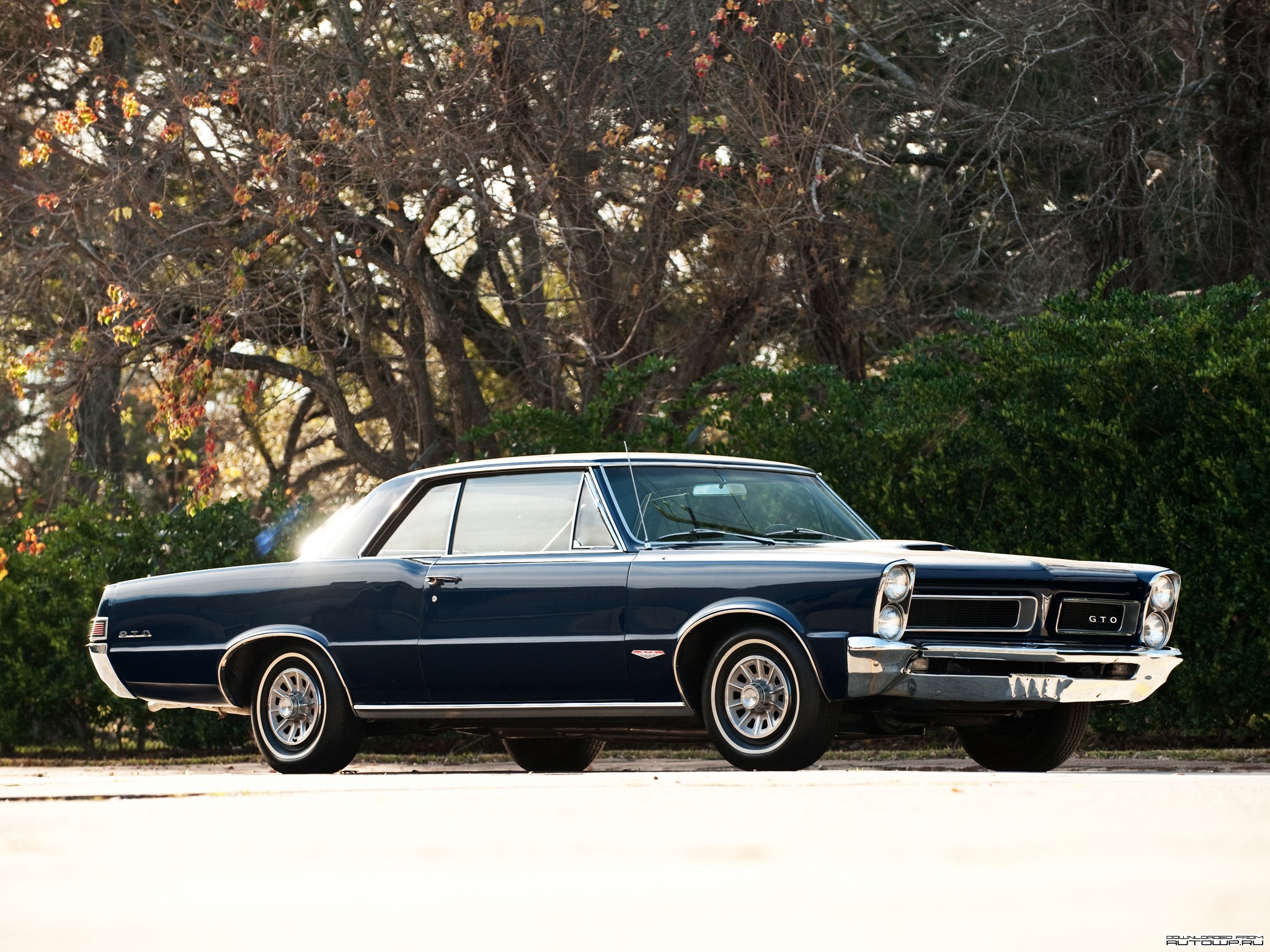 1965 Pontiac GTO Coupe Hardtop HD Wallpaper