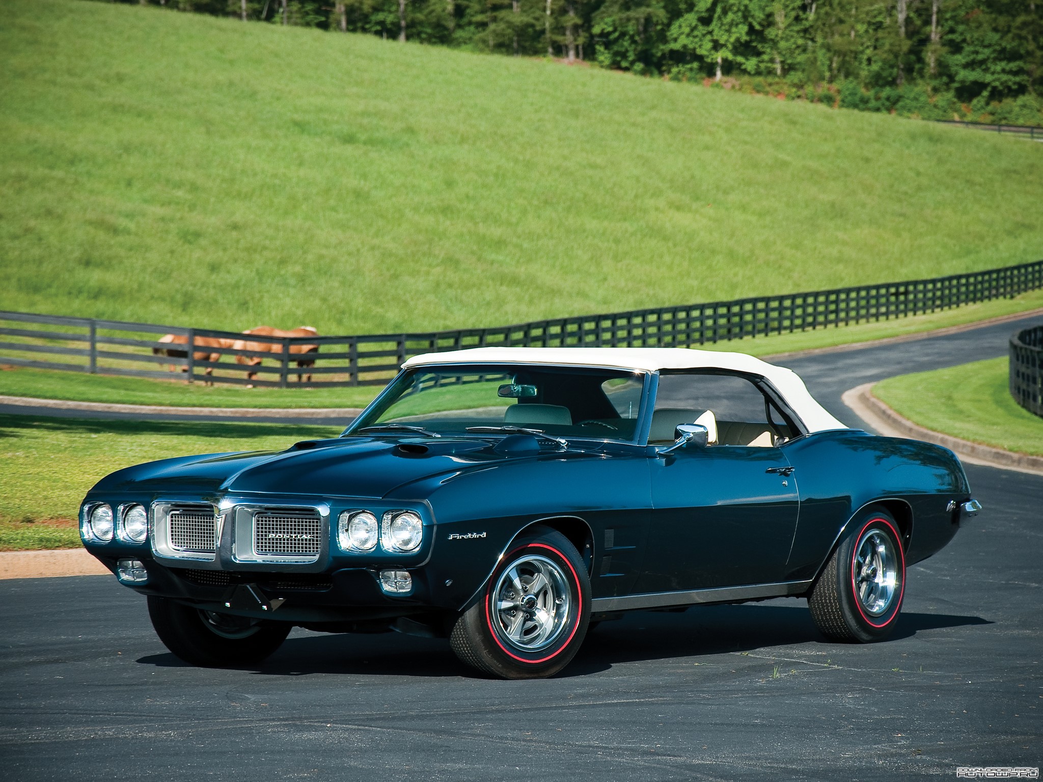 1969 Pontiac Firebird 400 Ram Air IV Convertible HD Wallpaper