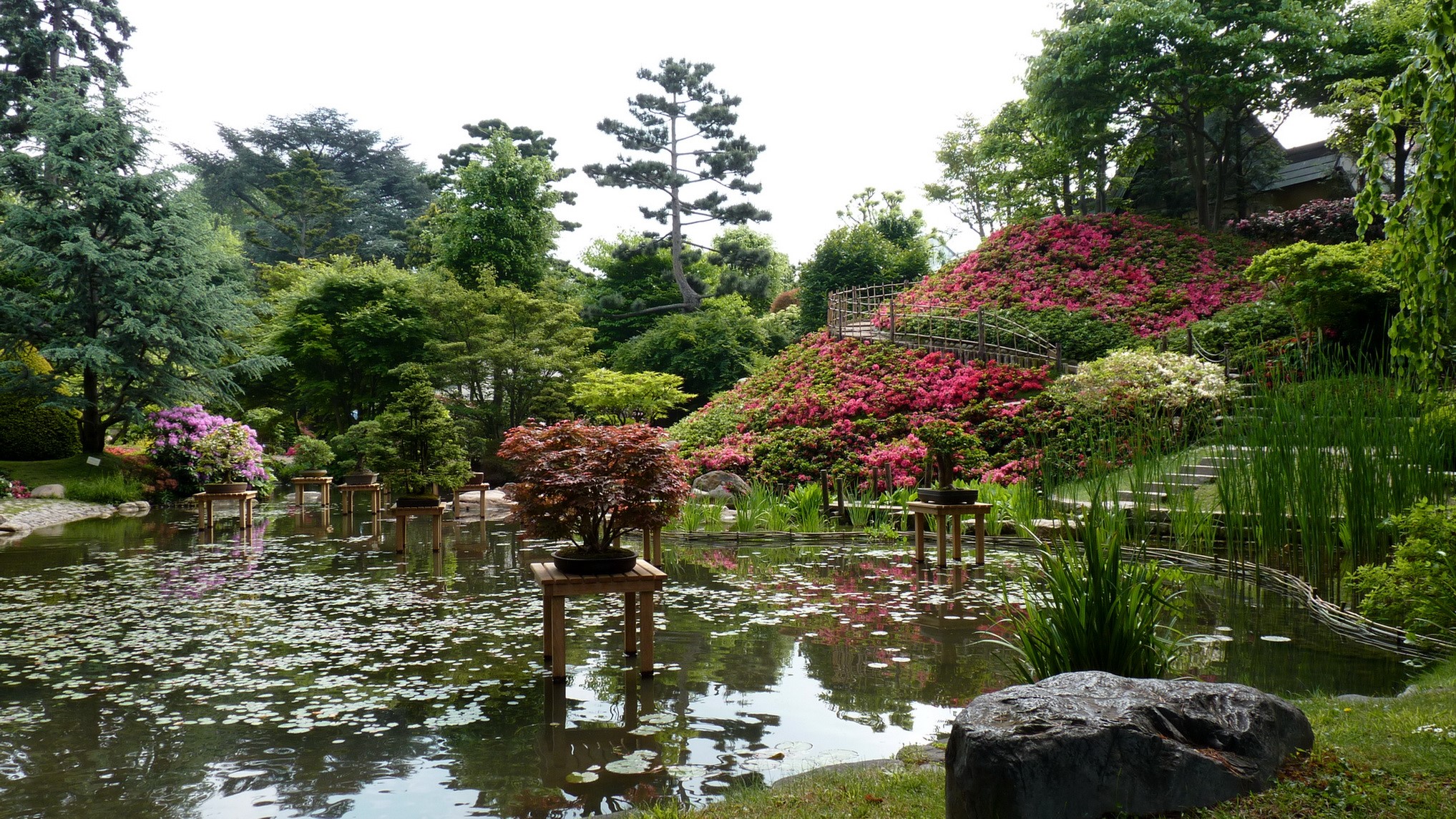 Japanese garden with pond and flowering hill HD Wallpaper