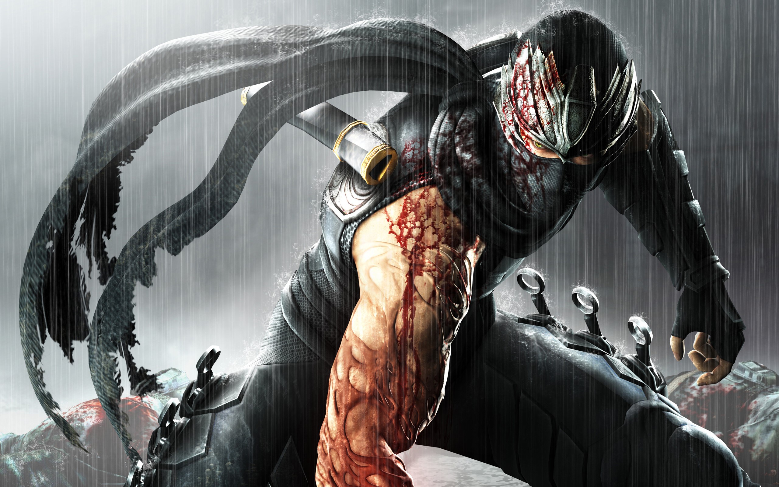Ryu Hayabusa from Ninja Gaiden in the rain HD Wallpaper