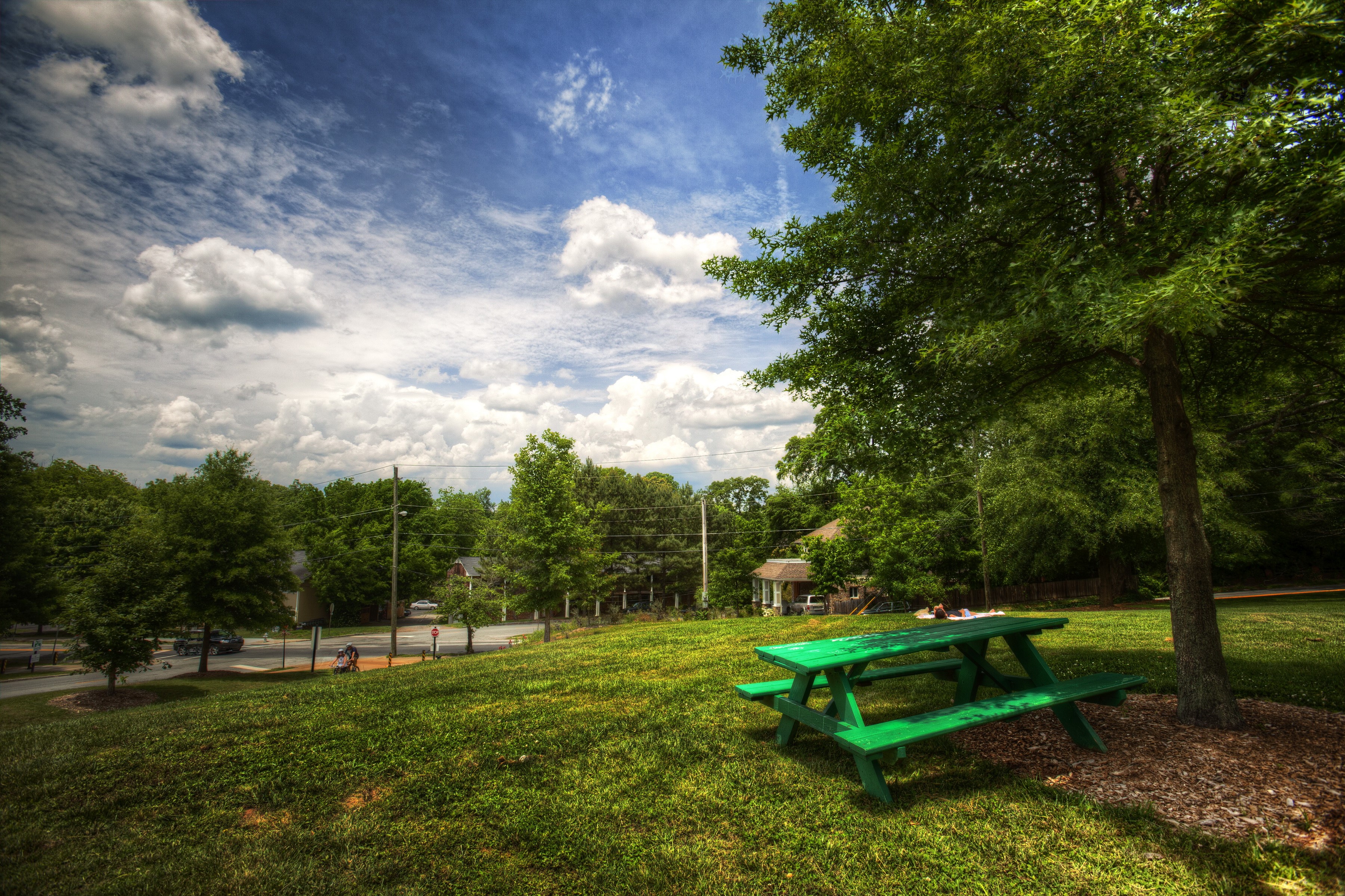 Green picnic table under a tree in a park HD Wallpaper