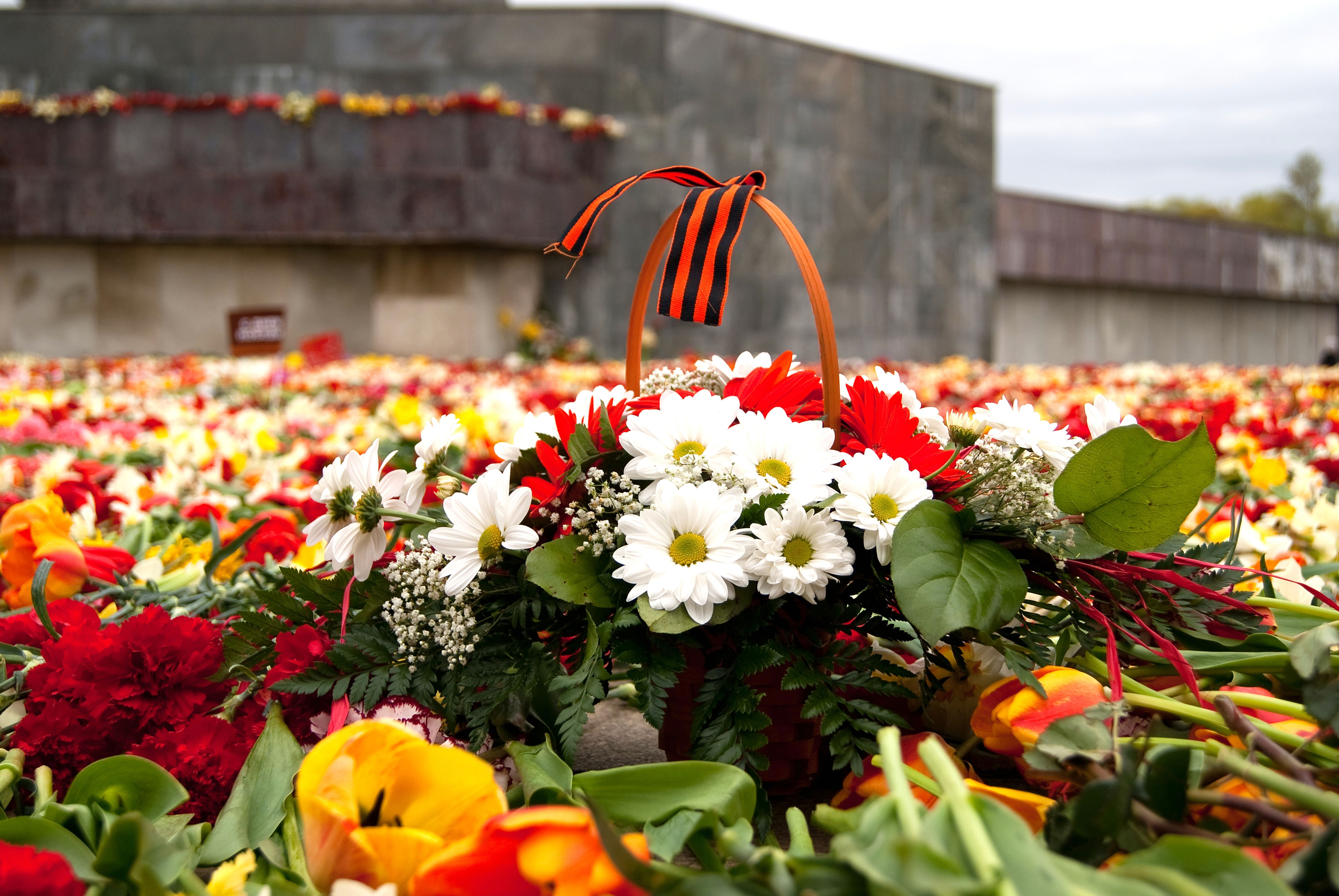 Victory Day 9 May Flowers HD Wallpaper