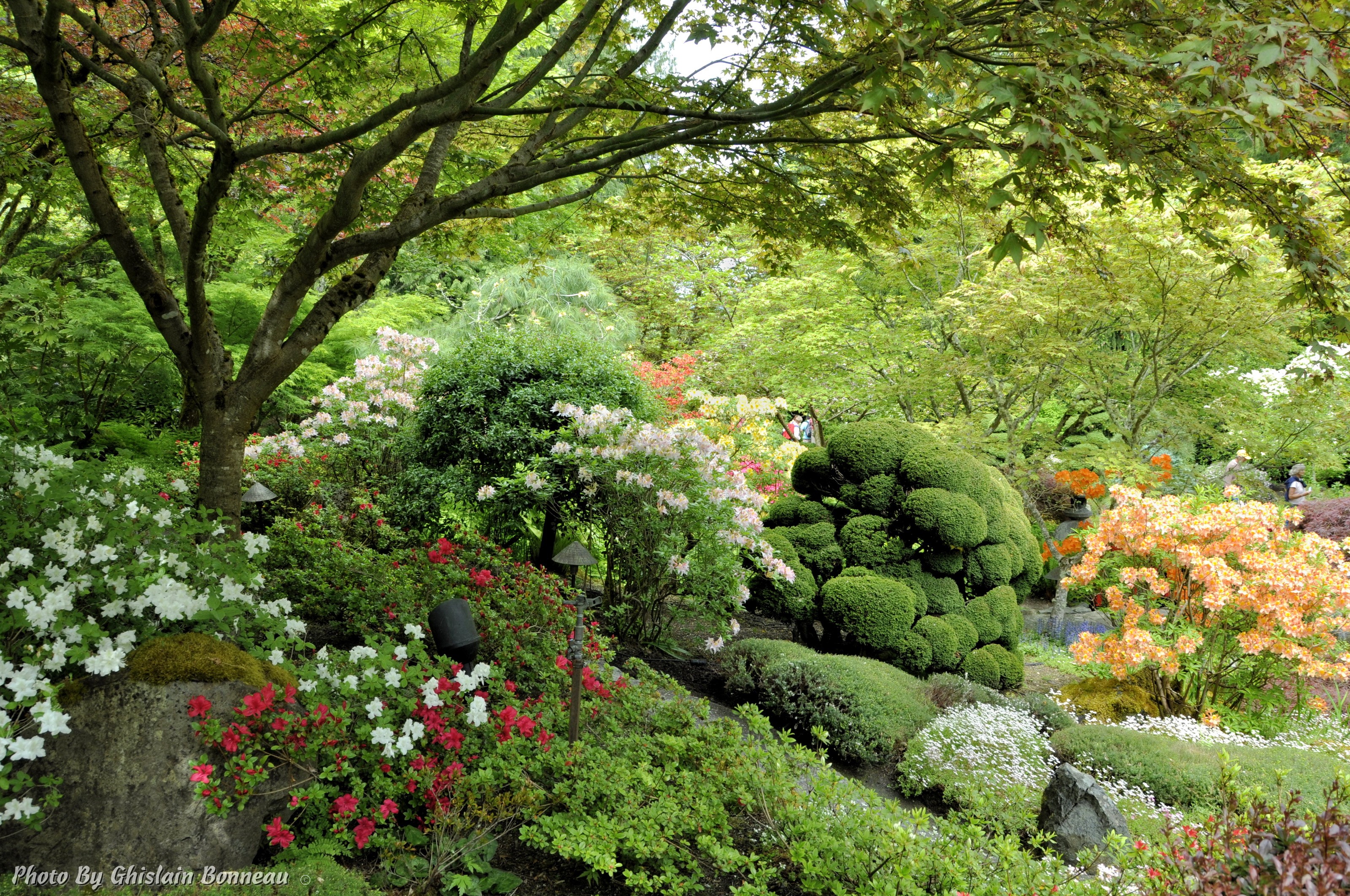 Butchart Gardens in Canada HD Wallpaper