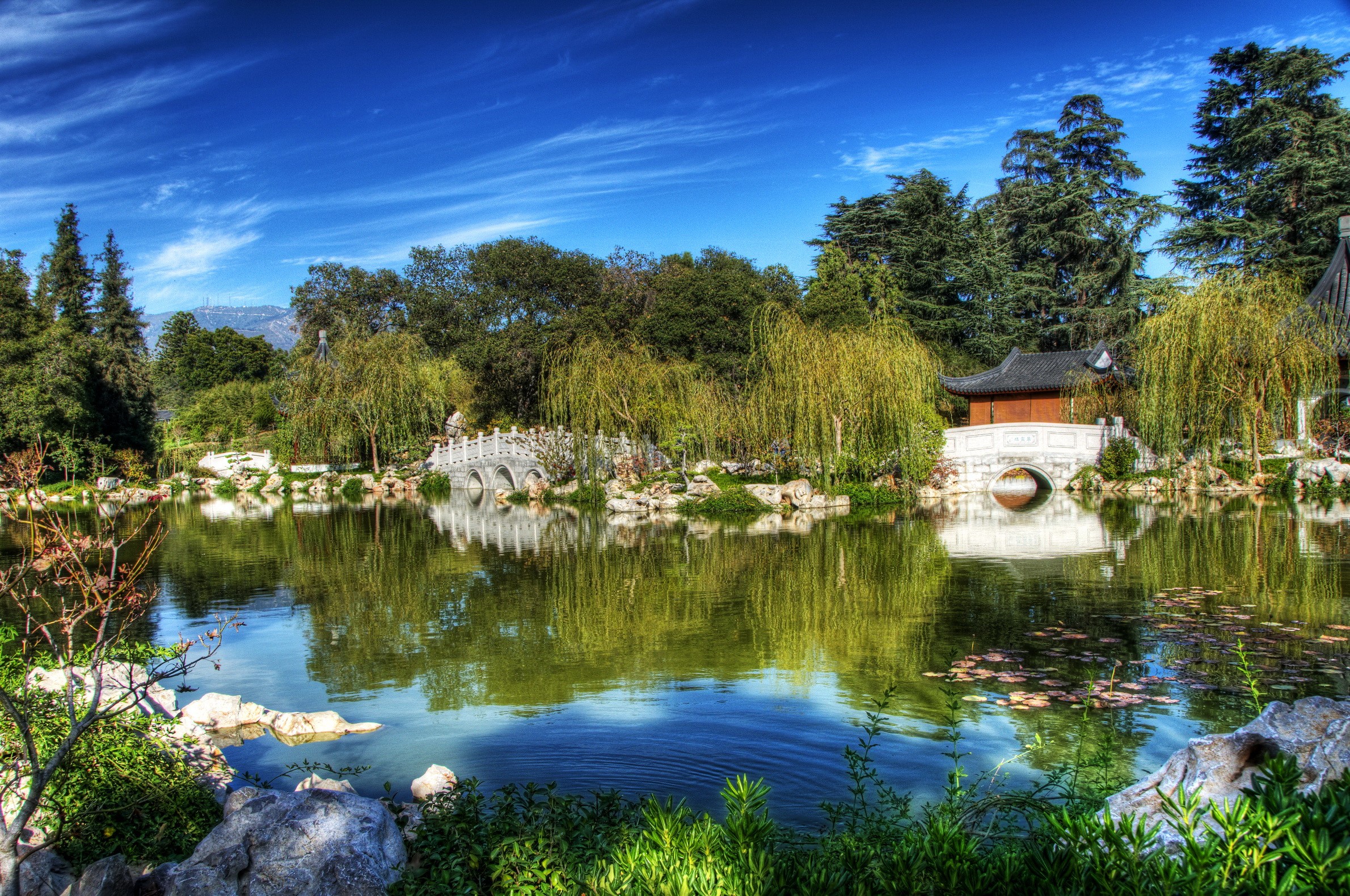 Chinese Garden with Pond and Bridges in San Marino, California HD Wallpaper