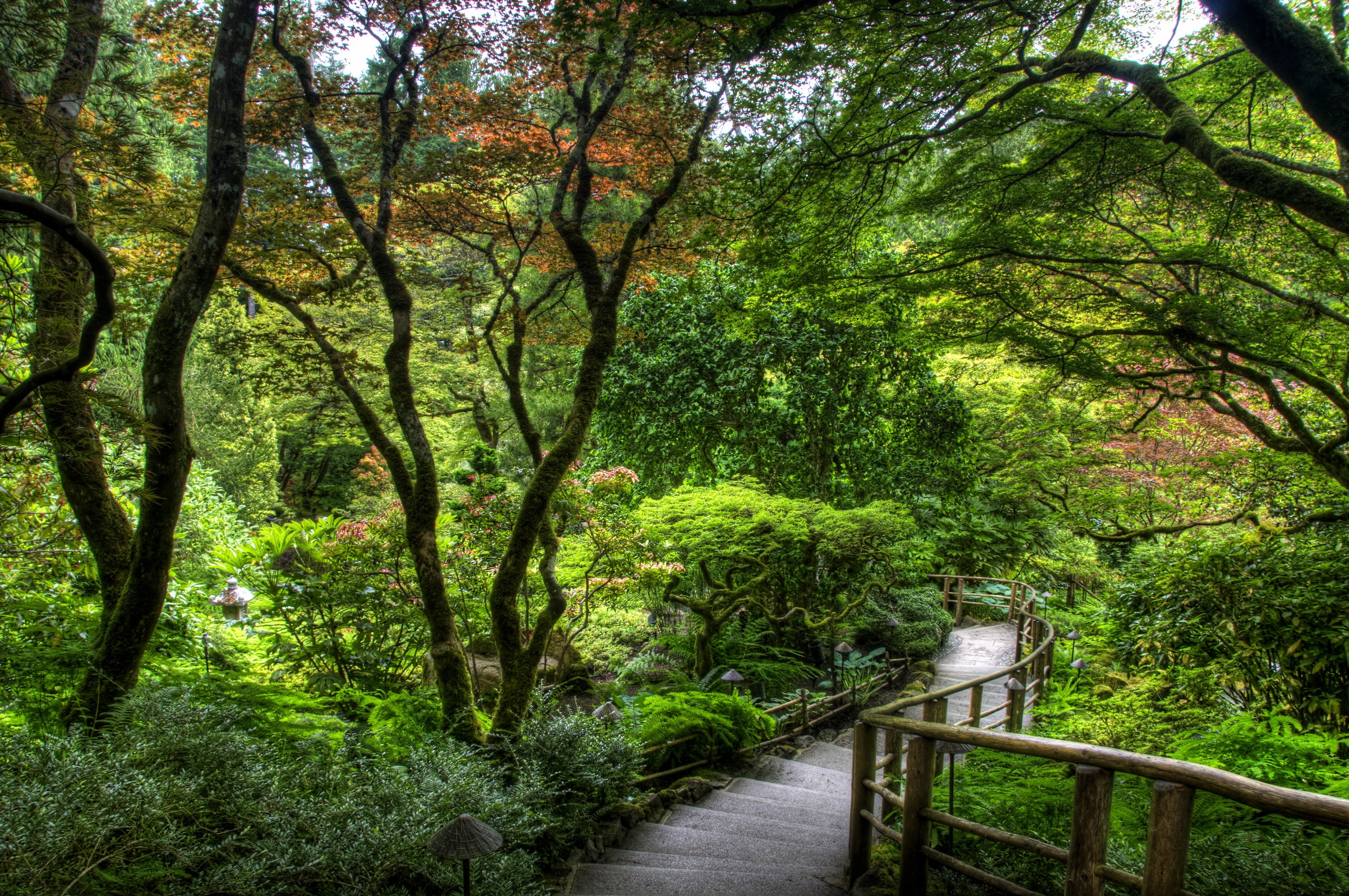 Stone steps and wooden railing in a lush garden HD Wallpaper