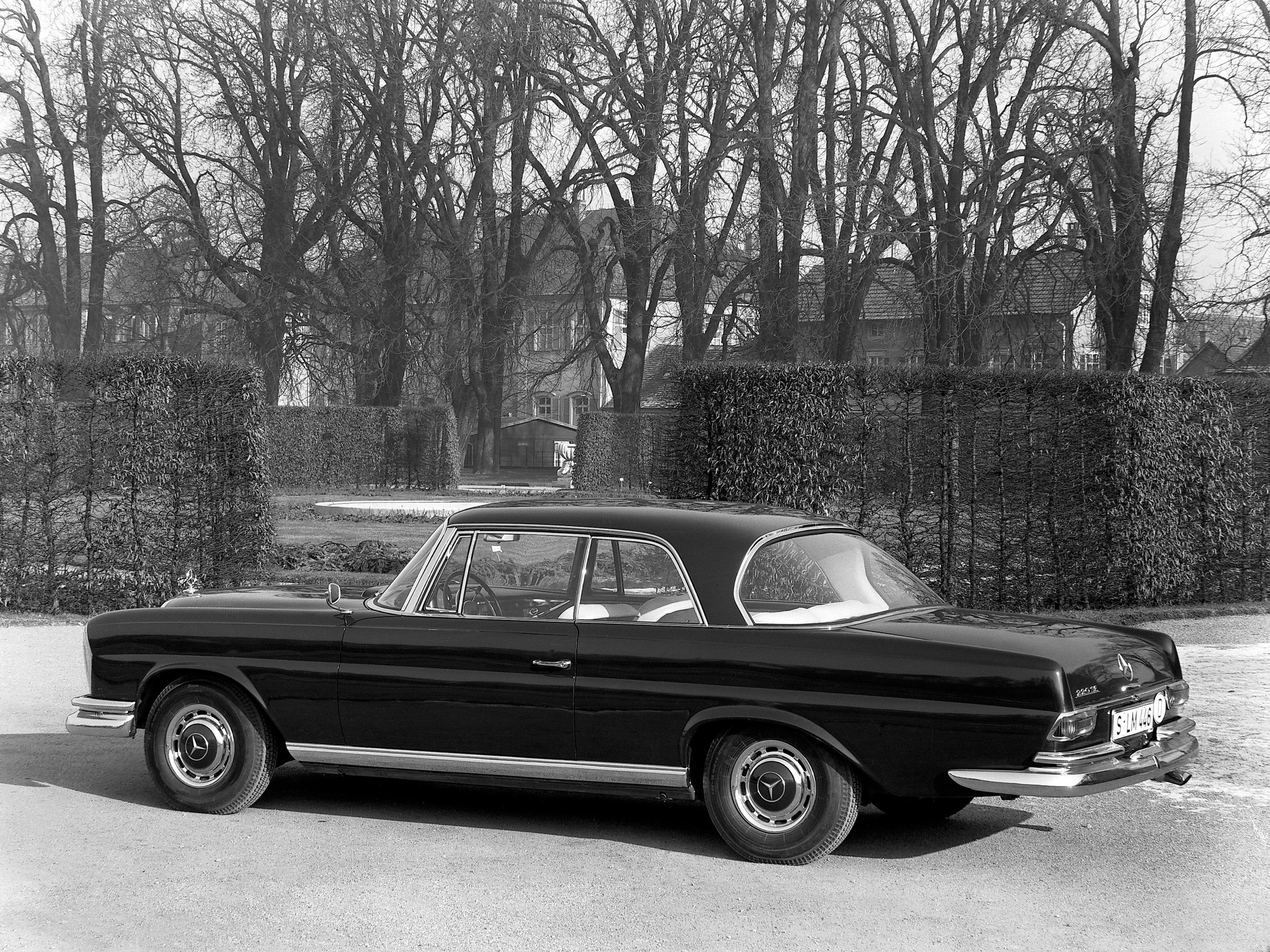 Black Mercedes-Benz Coupe in a Garden HD Wallpaper
