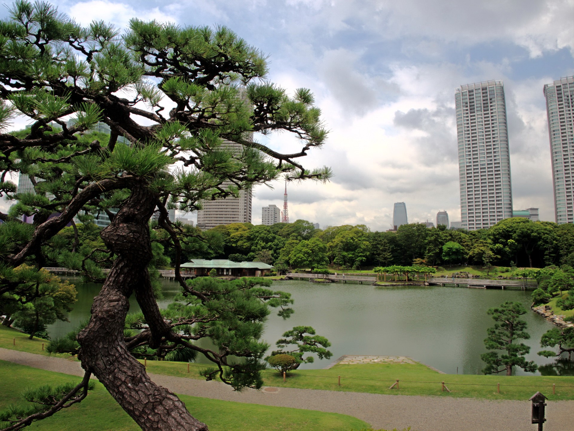 Garden with lake and skyscrapers in Tokyo HD Wallpaper