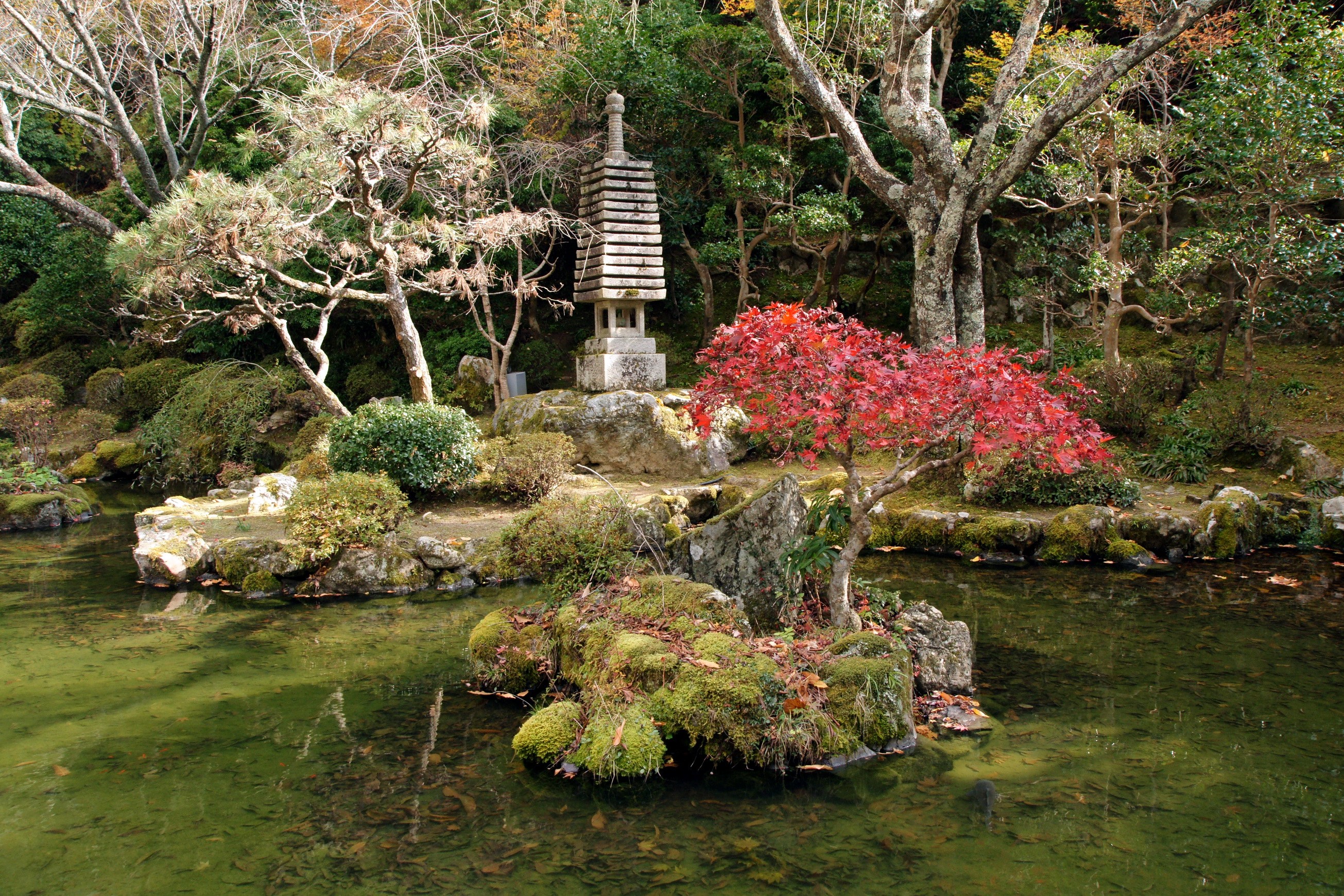 Japanese garden with stone lantern and red maple tree HD Wallpaper