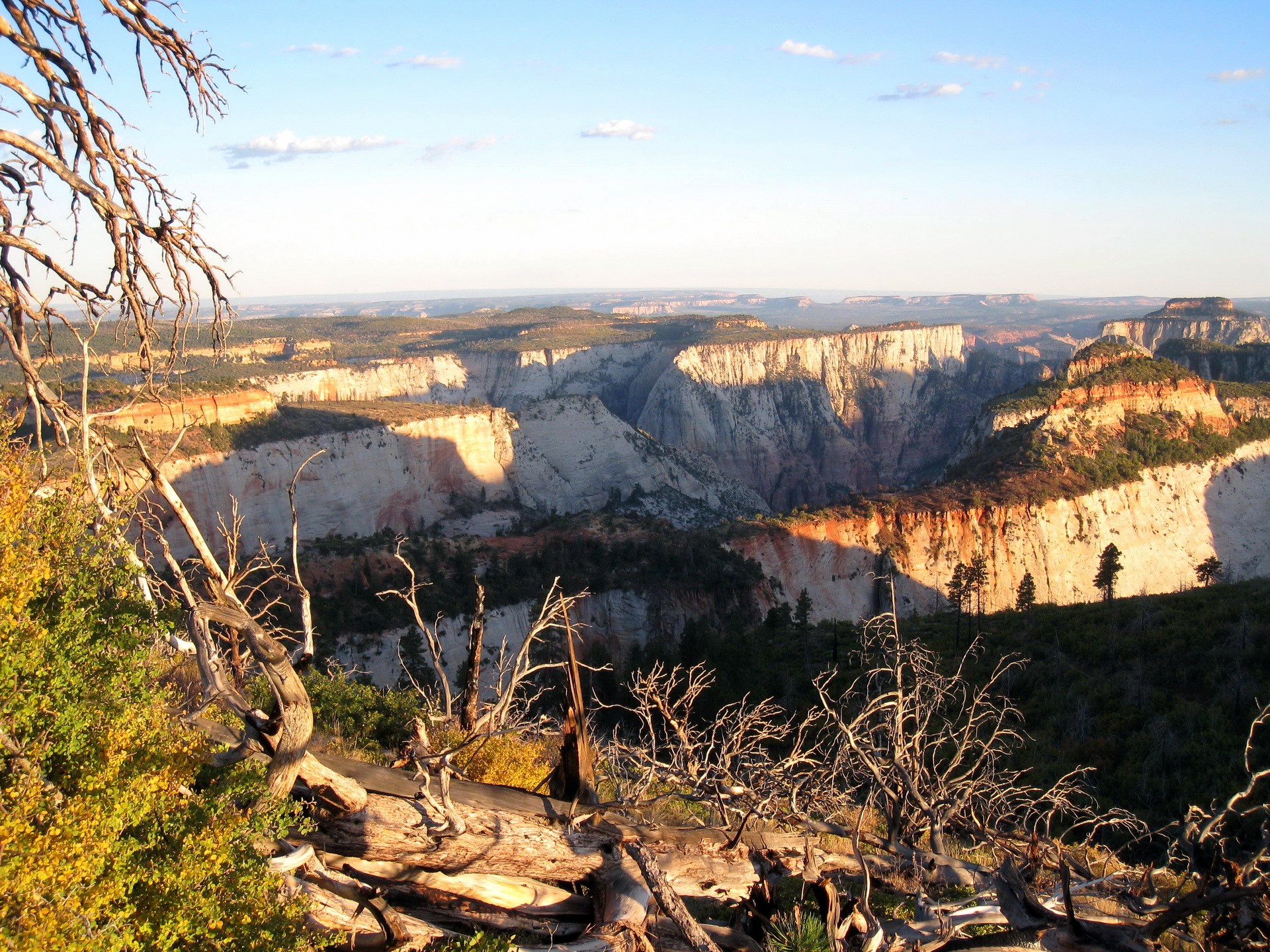 Zion National Park Canyon Landscape HD Wallpaper