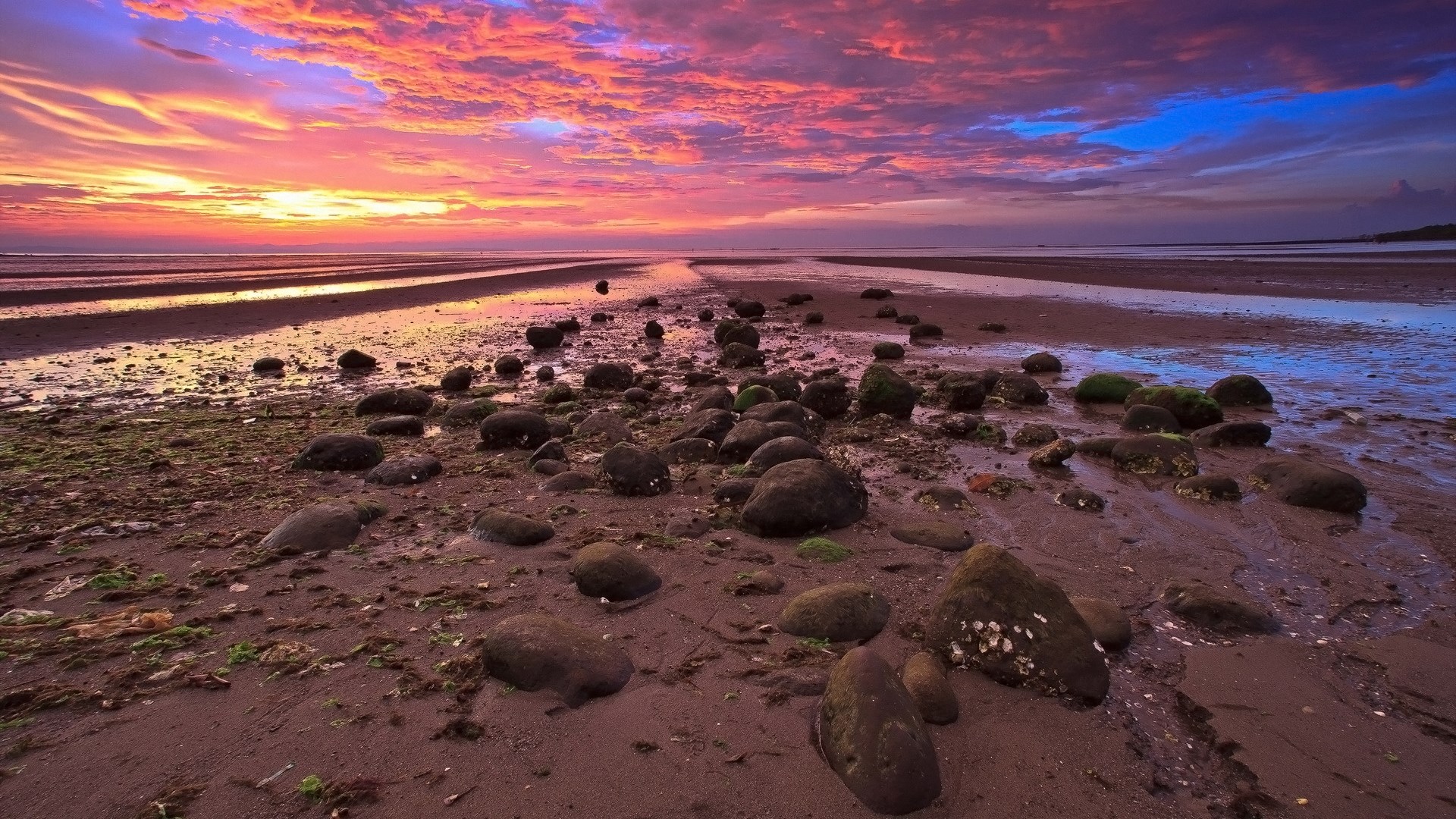 Sunset over a rocky beach with tide pools HD Wallpaper
