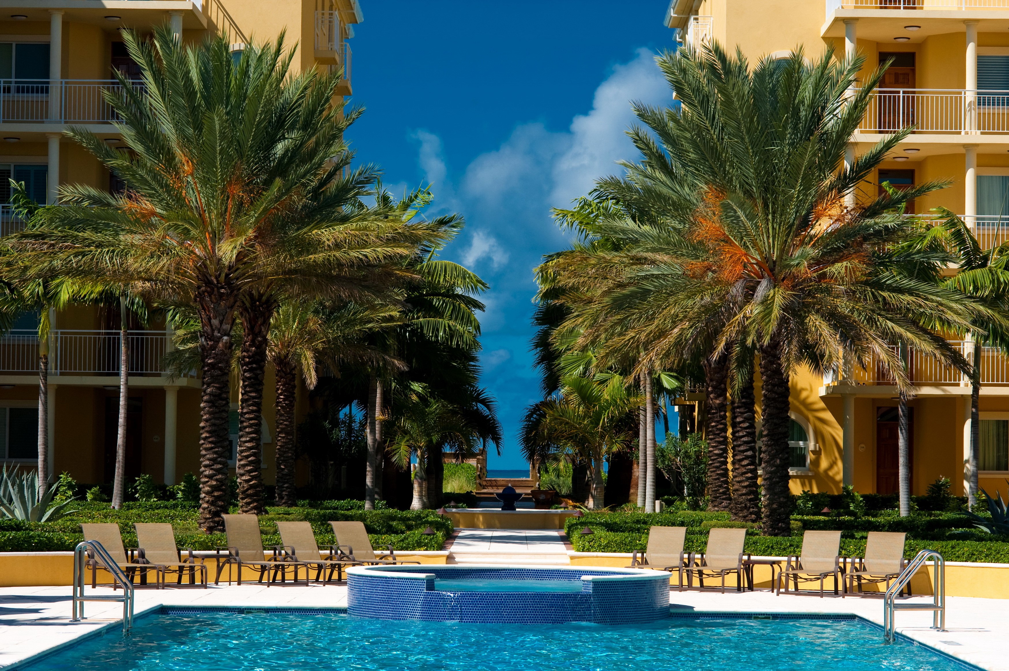 Resort pool with palm trees and ocean view HD Wallpaper
