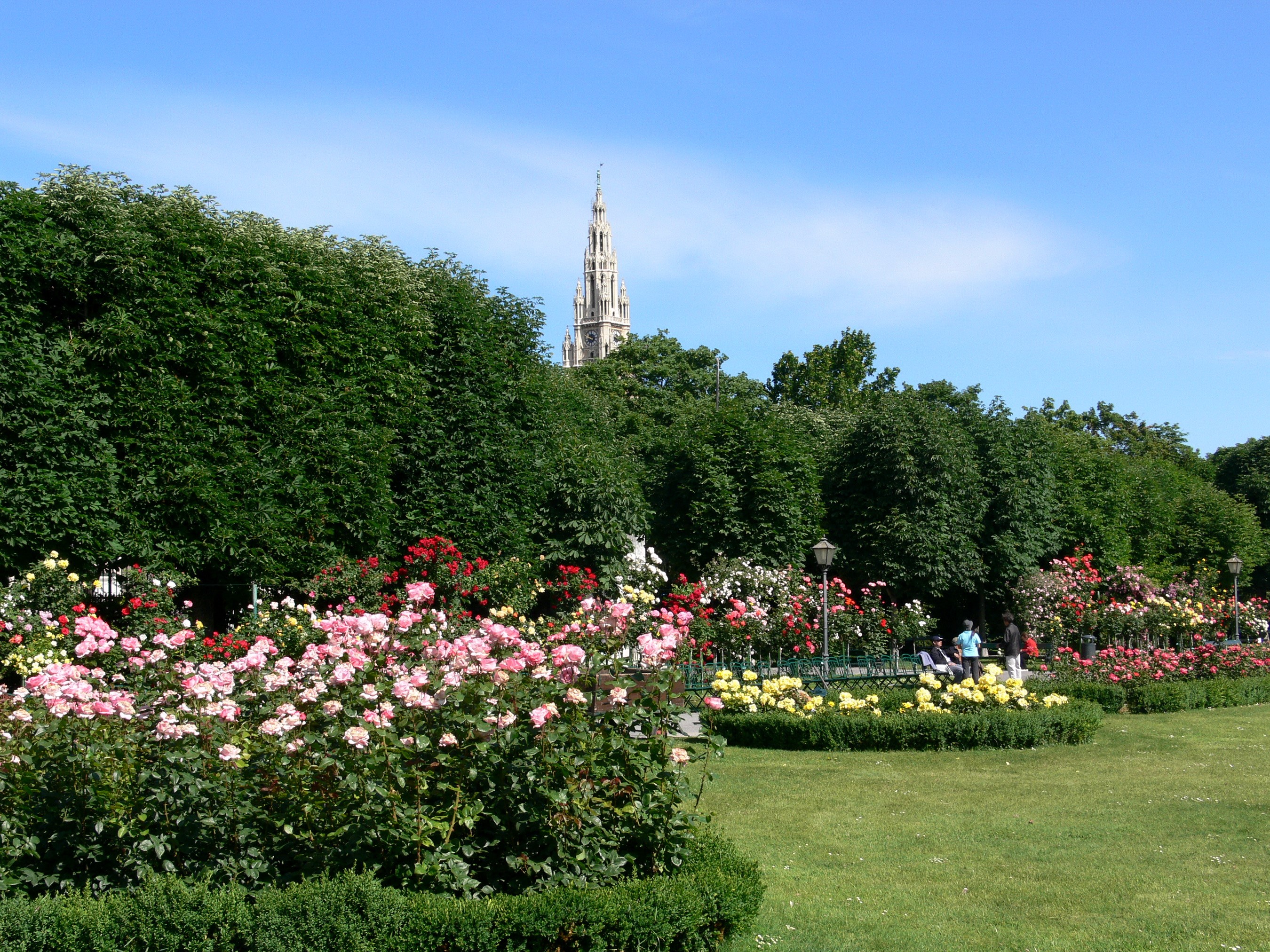 Volksgarten Gardens in Vienna, Austria HD Wallpaper