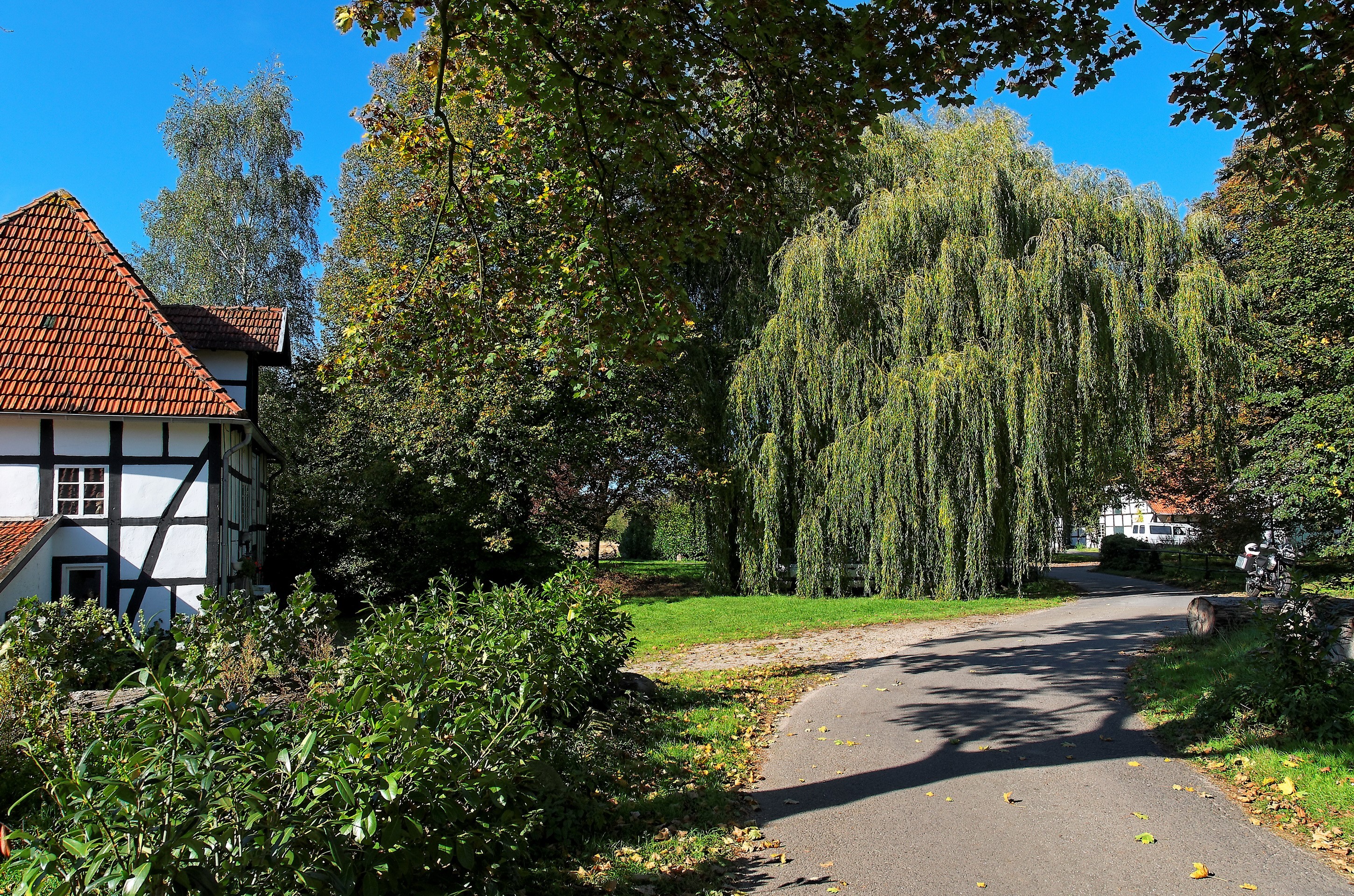 Half-timbered house and weeping willow tree in Germany HD Wallpaper