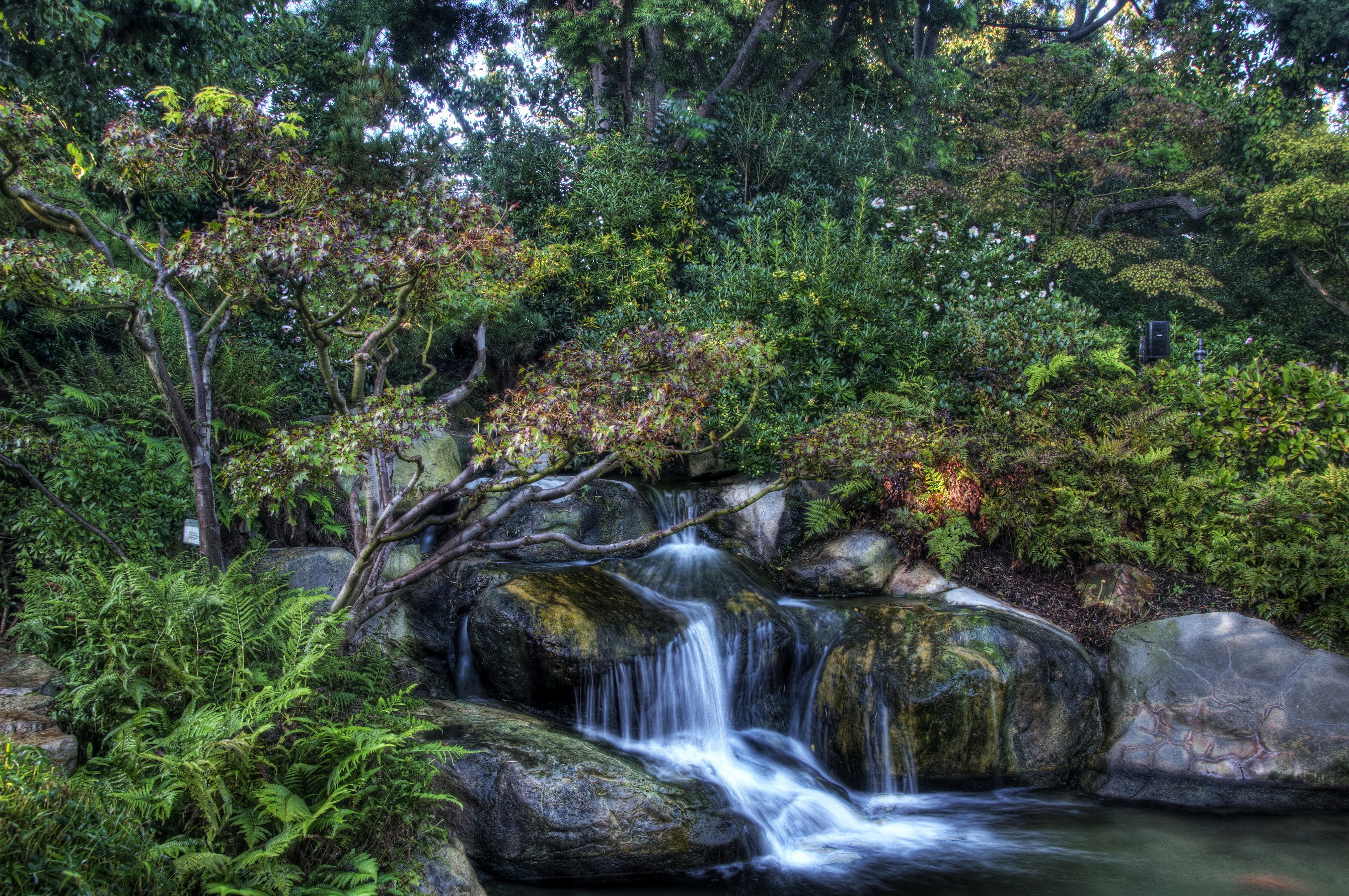 Waterfall in a lush garden with trees and ferns HD Wallpaper