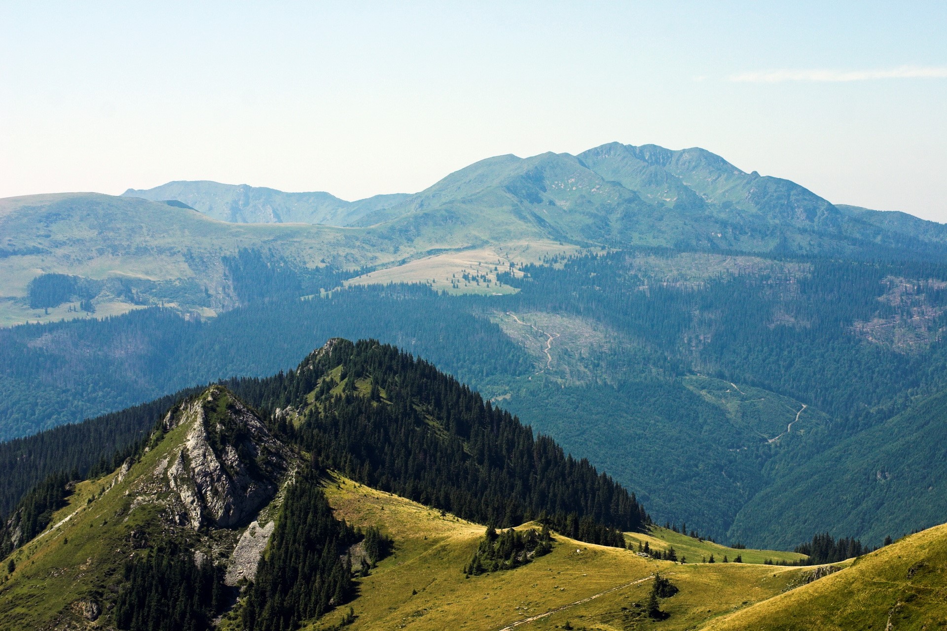 Mountain range with green slopes and trees HD Wallpaper