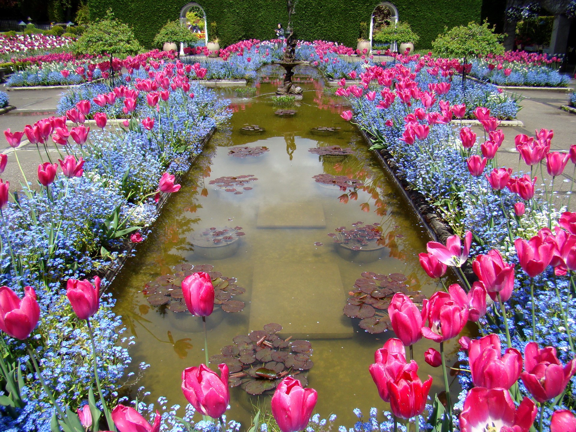 Butchart Victoria Gardens Pond Canada HD Wallpaper