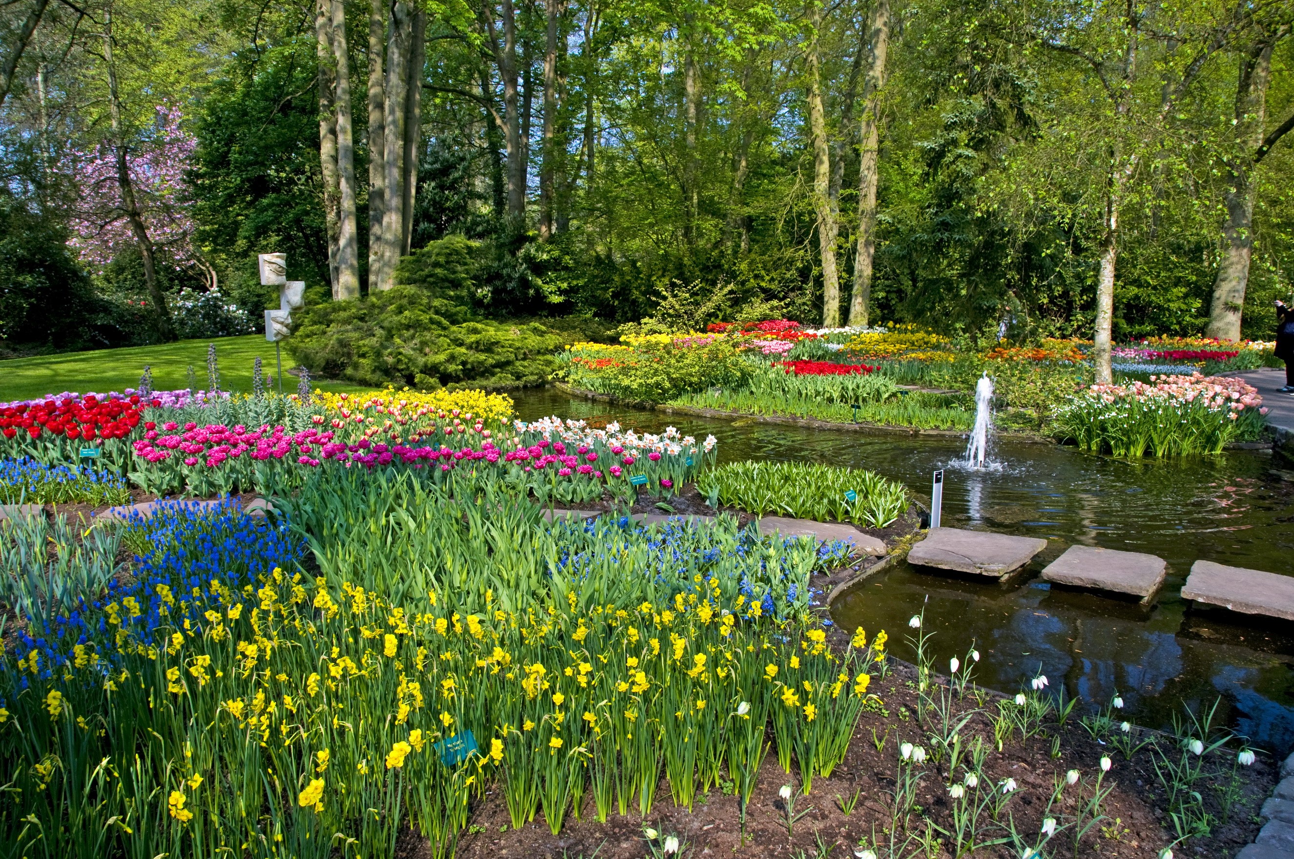 Keukenhof Lisse Netherlands Parks HD Wallpaper