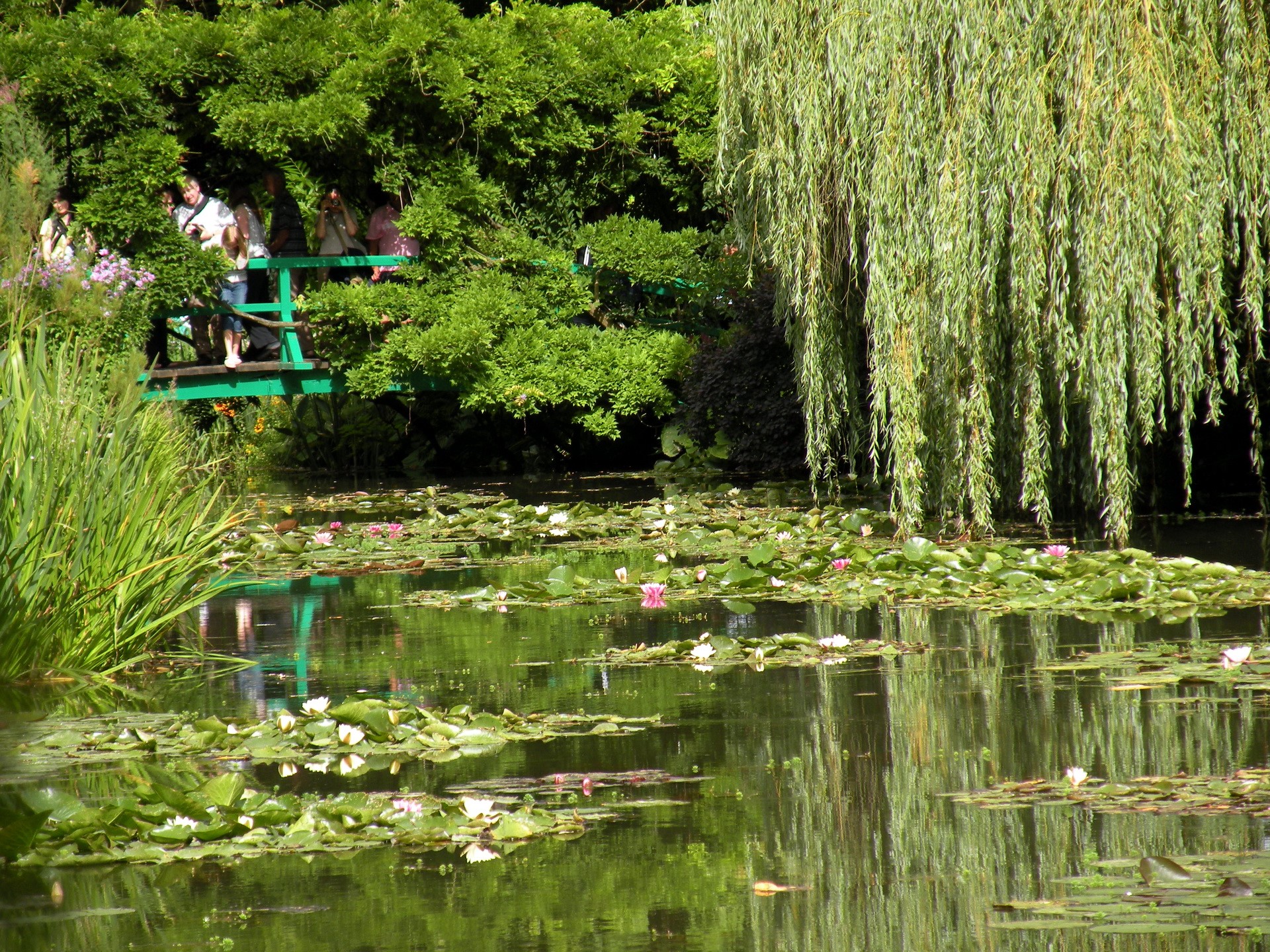 Gardens Pond HD Wallpaper