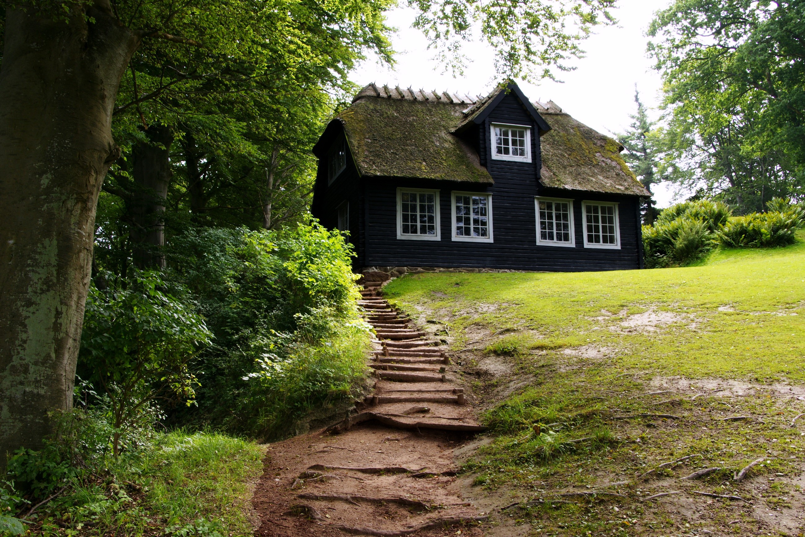 Black wooden house with thatched roof in a forest HD Wallpaper