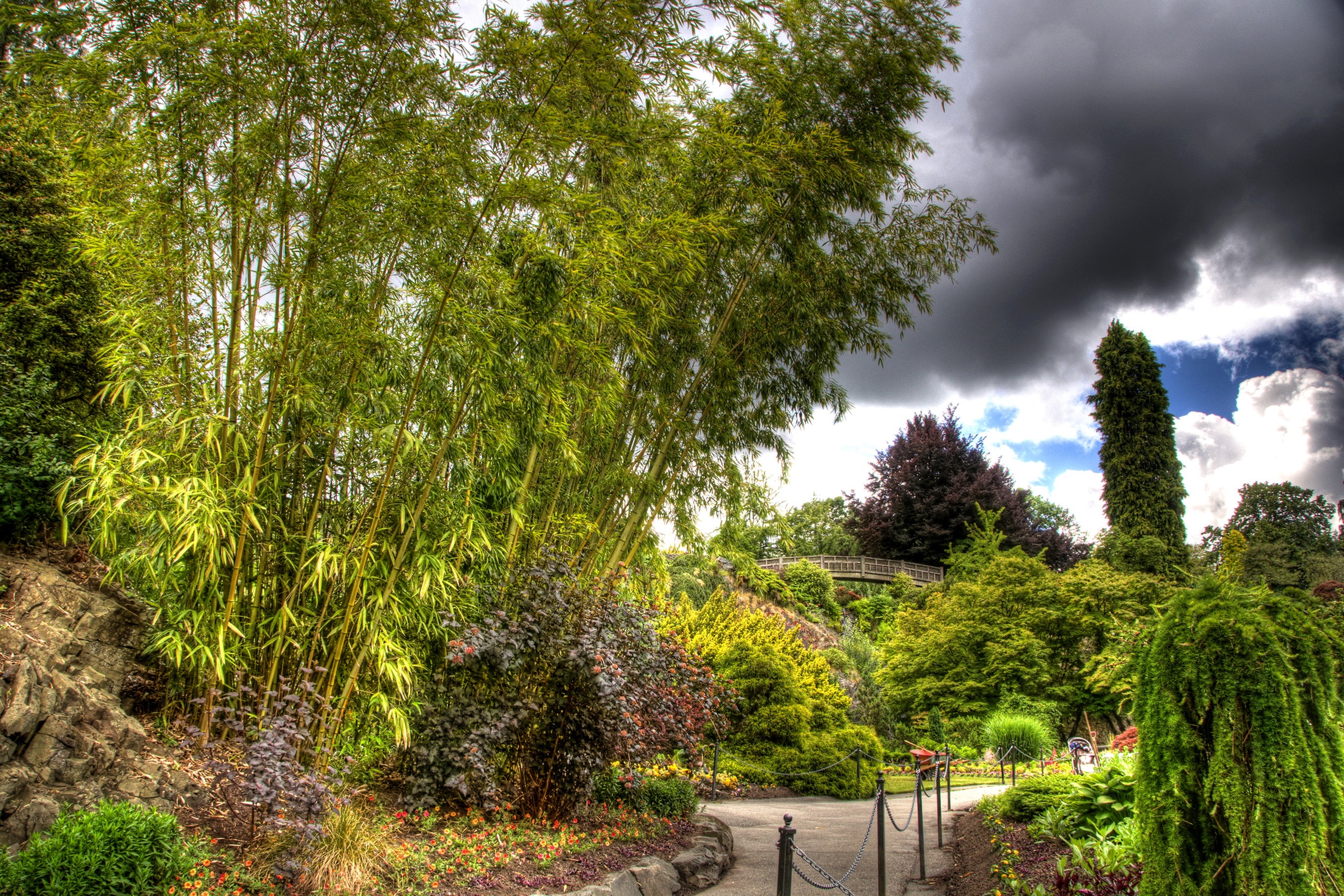 Bamboo grove and garden path with bridge HD Wallpaper