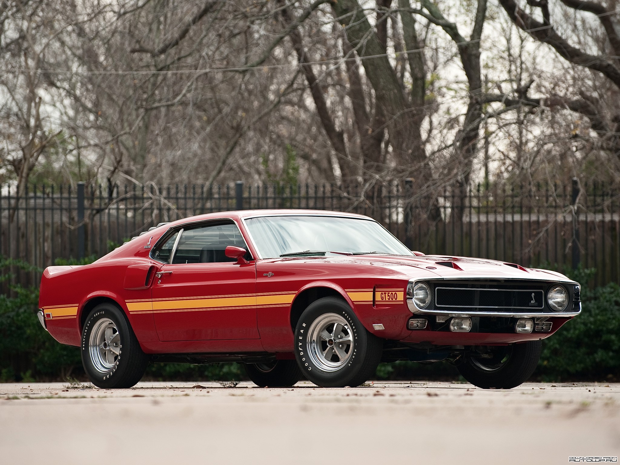 1969 Ford Mustang Shelby GT500 HD Wallpaper