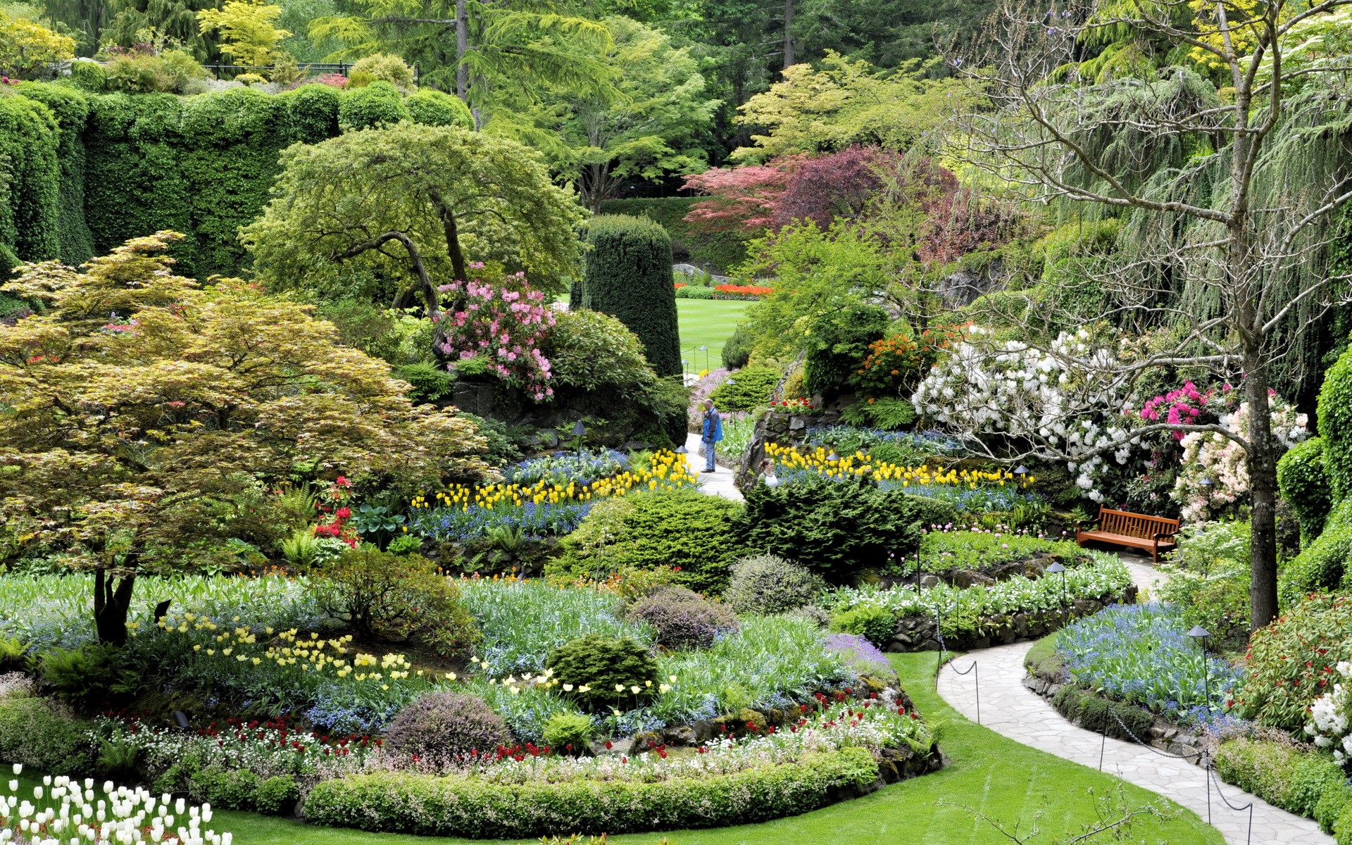 Beautiful landscaped garden with blooming flowers and trees HD Wallpaper