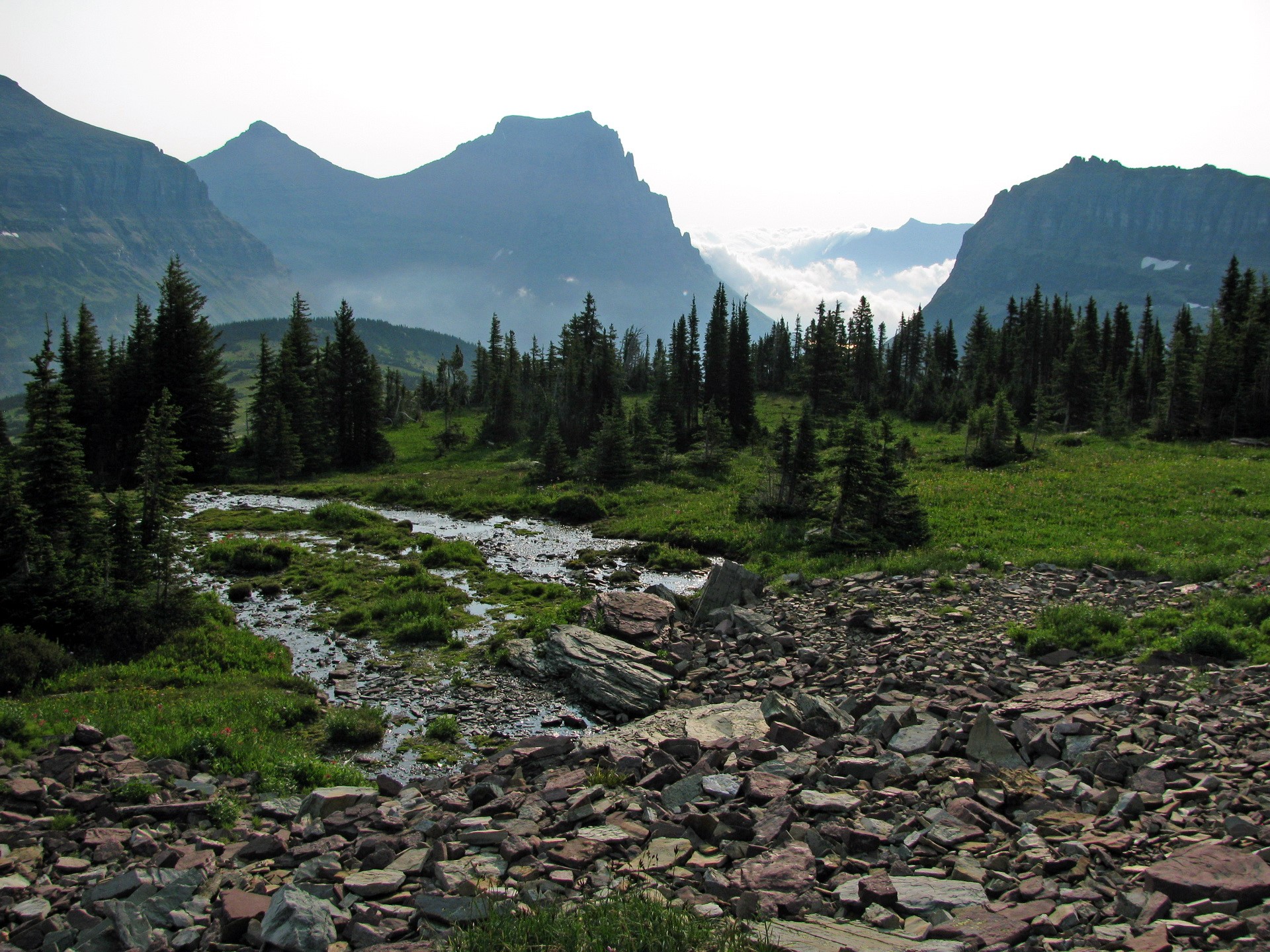 Glacier National Park, Montana Mountains and Forest HD Wallpaper