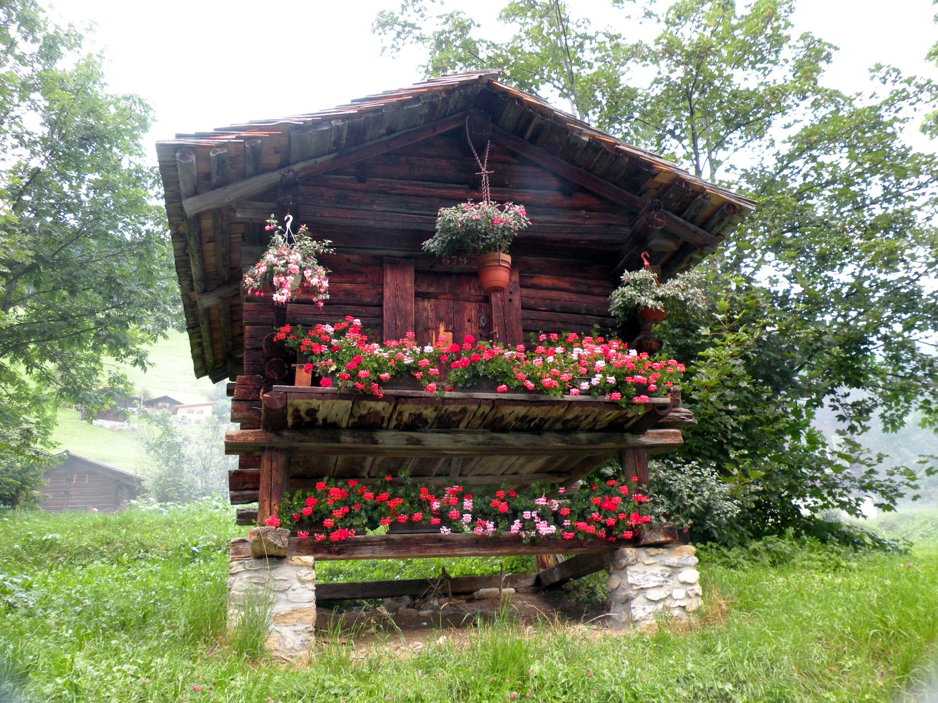 Wooden barn with flowers in Gimmelwald, Austria HD Wallpaper