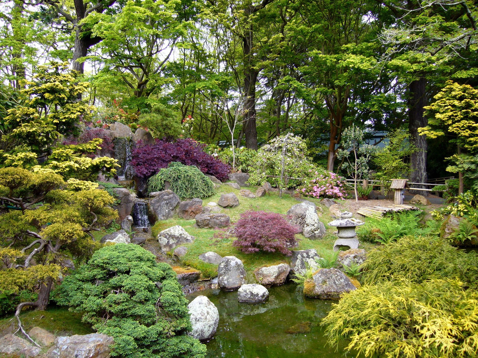 Japanese garden with waterfall and pond HD Wallpaper
