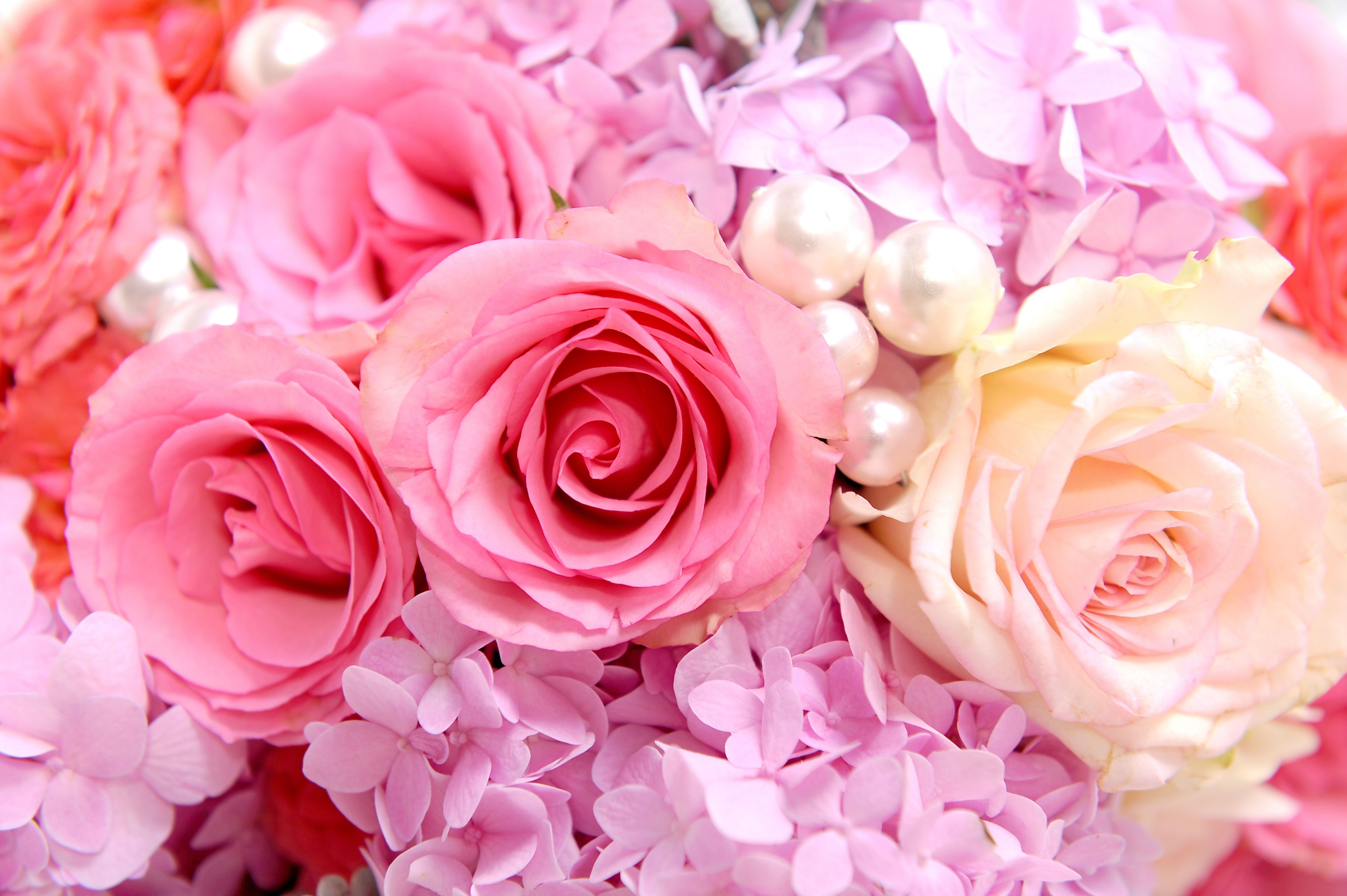 Pink Roses and Hydrangeas with Pearls HD Wallpaper