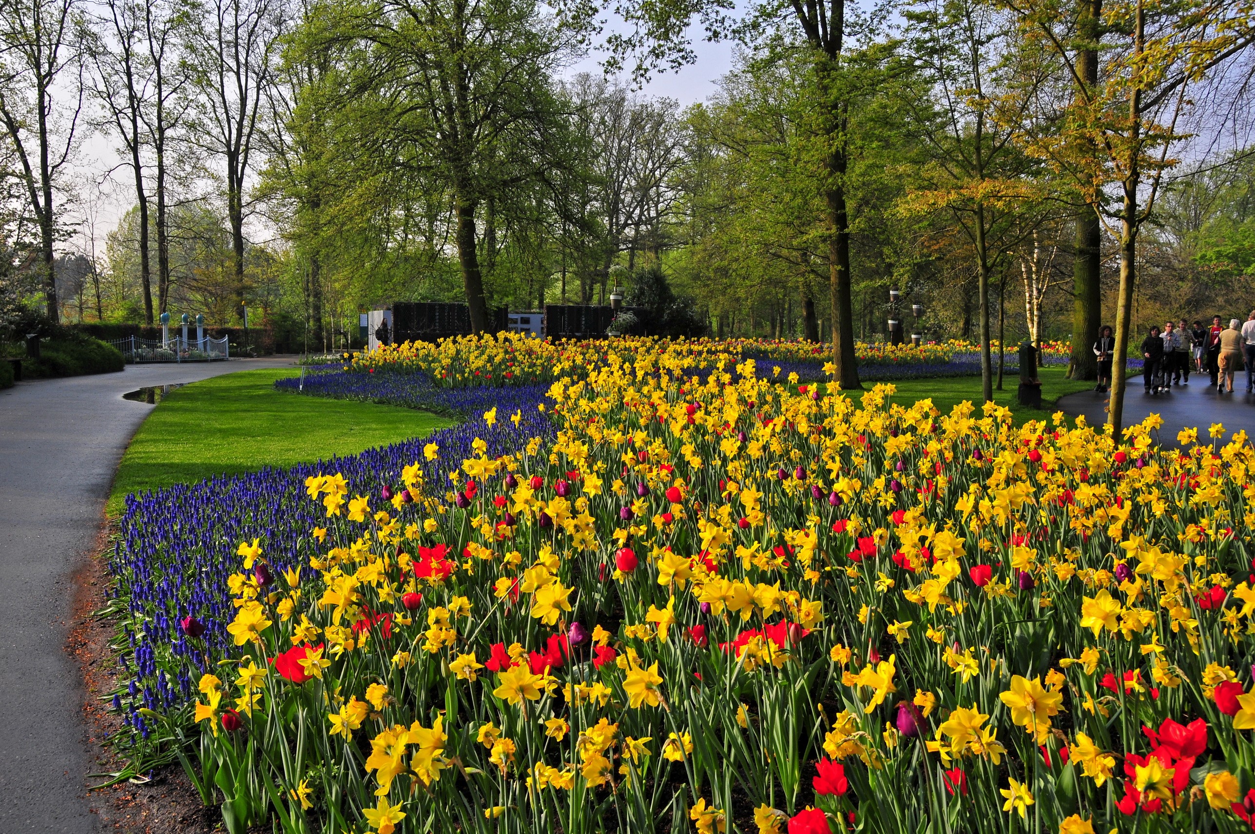 Keukenhof Gardens in Lisse, Netherlands HD Wallpaper