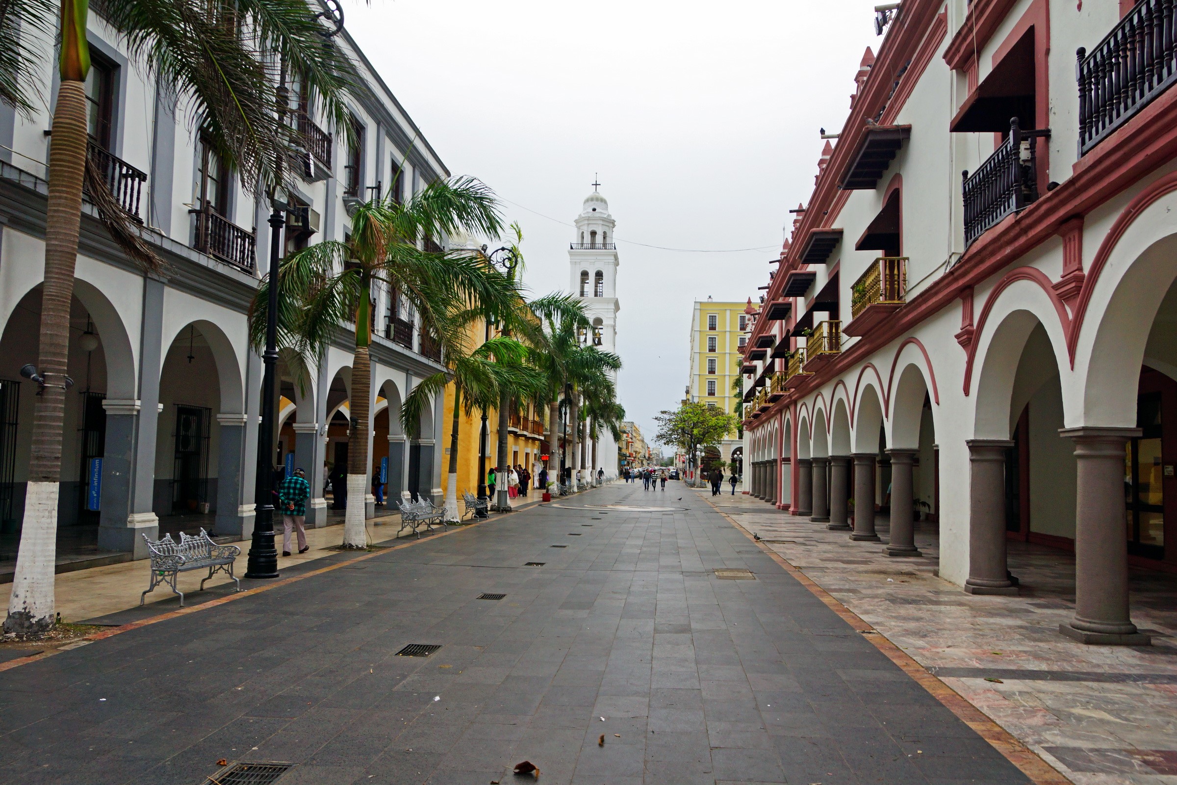 Street with colonial buildings and palm trees in Mexico HD Wallpaper