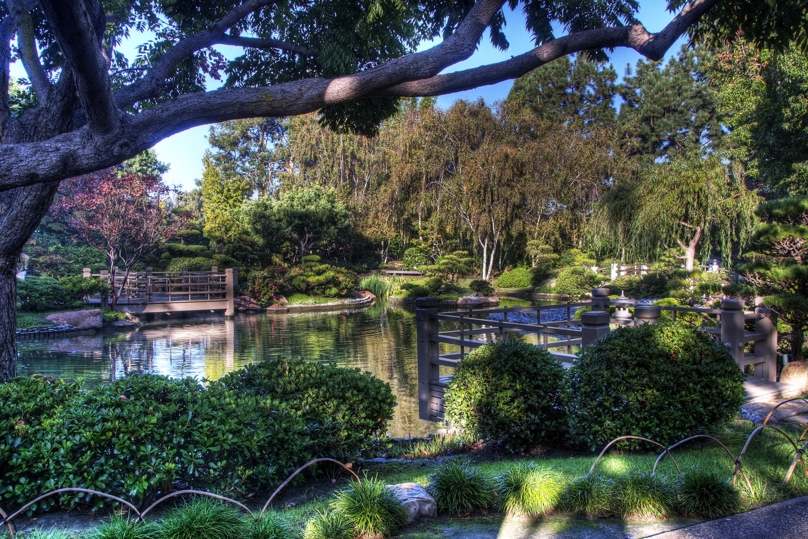 Earl Burns Miller Japanese Garden in California, USA HD Wallpaper